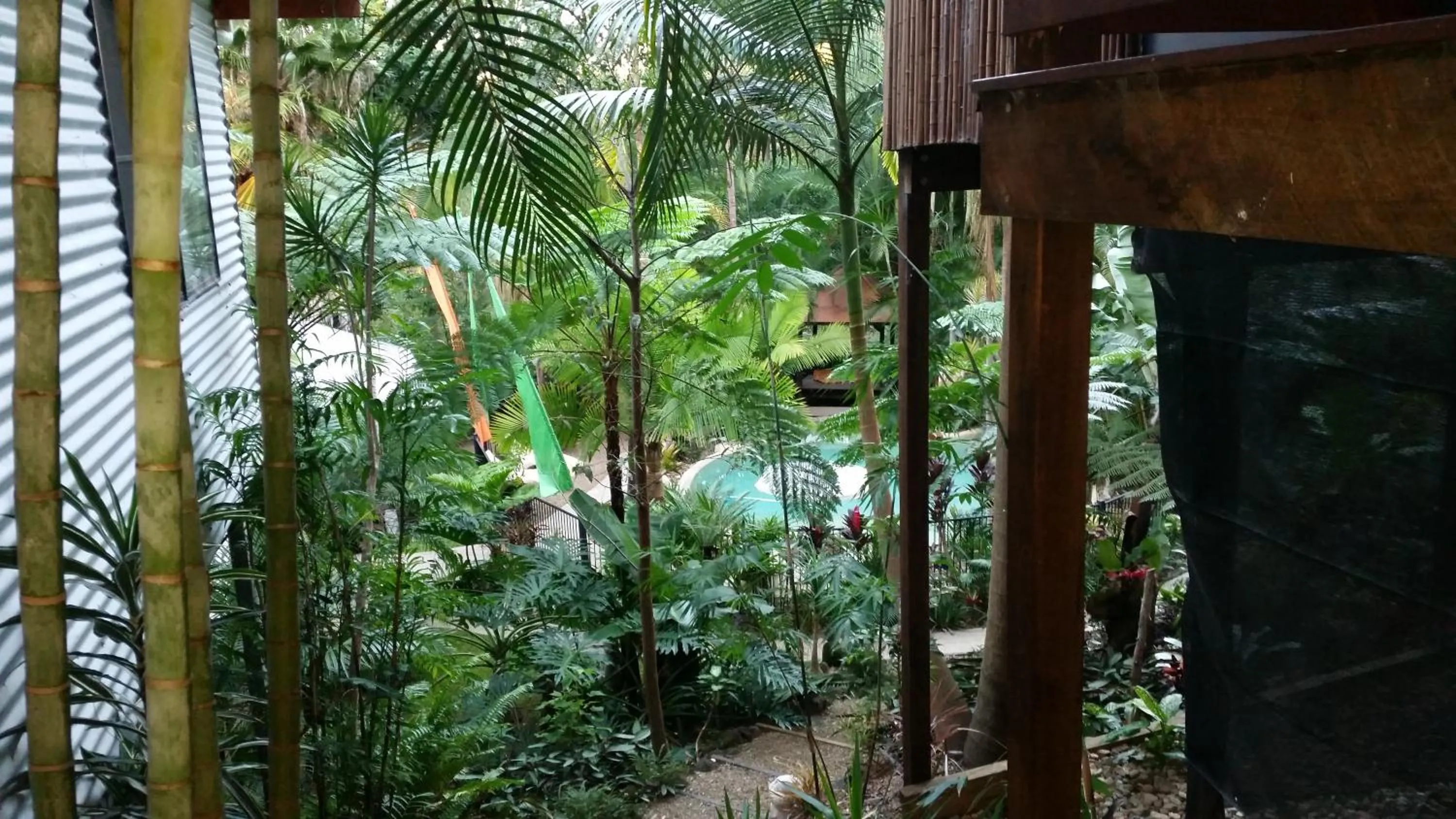 Natural landscape in Alaya Ascend