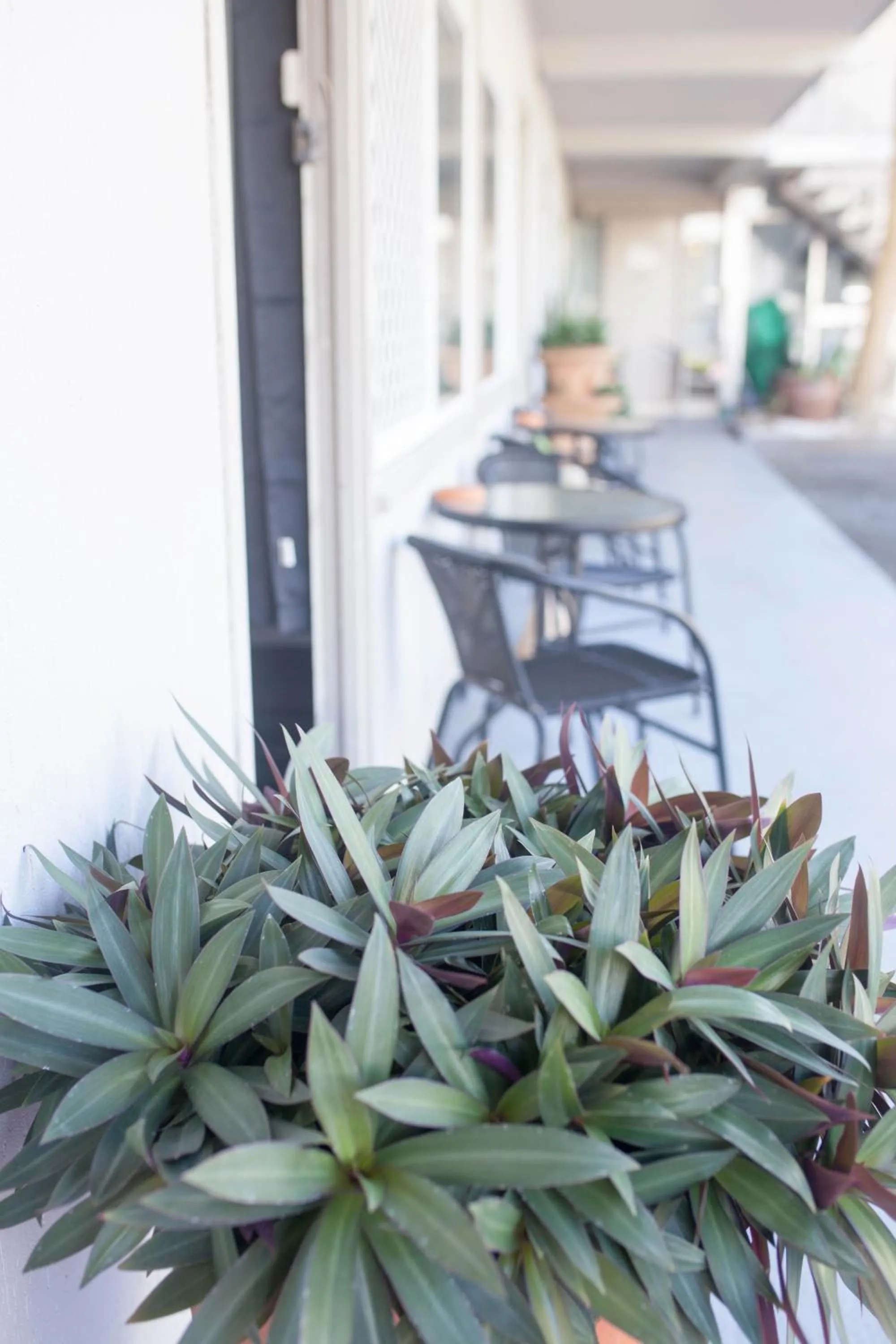Patio in Cairns City Motel