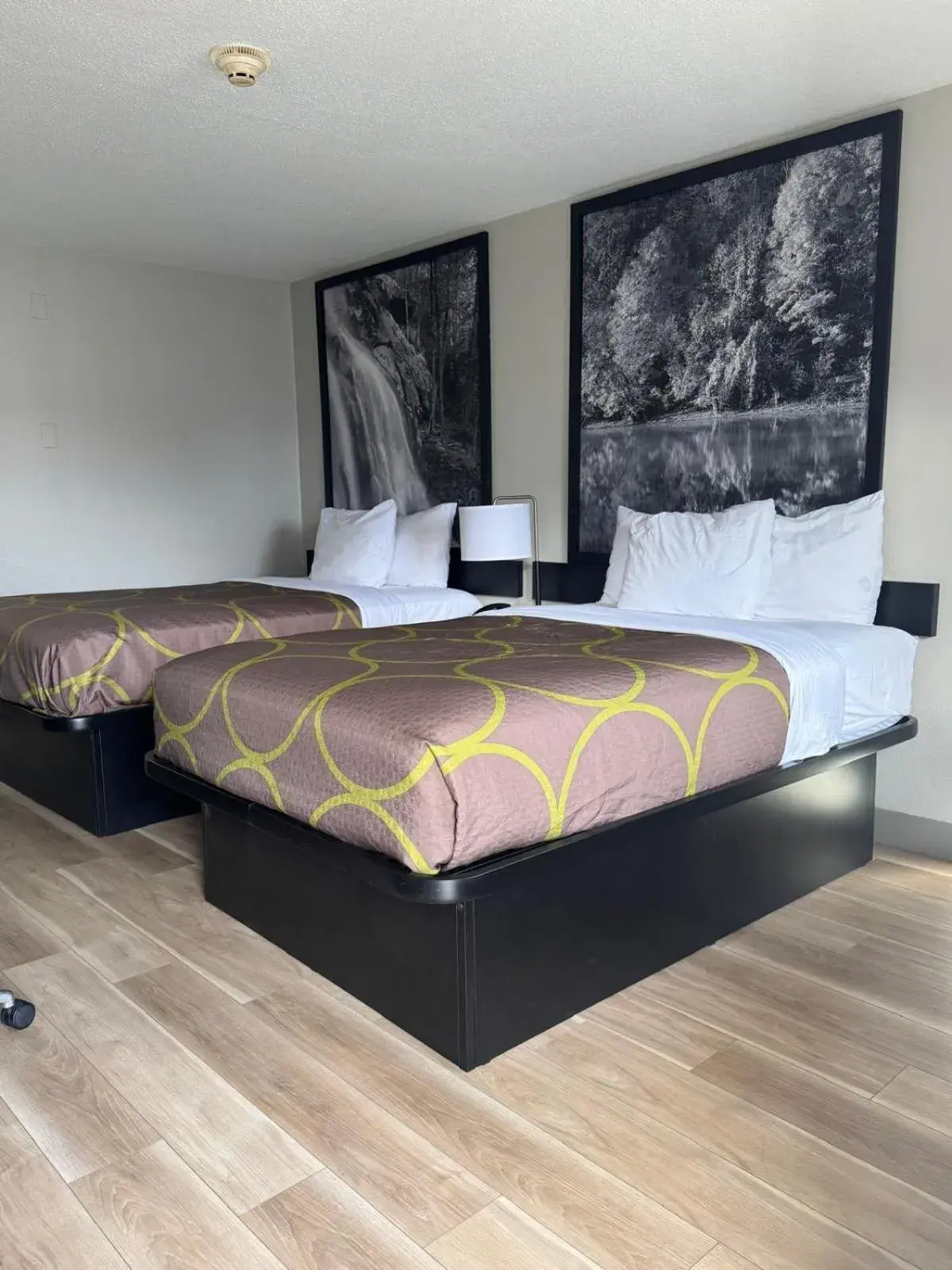 Bed in Super 8 by Wyndham Charleston WV Bed in Super 8 by Wyndham Charleston WV