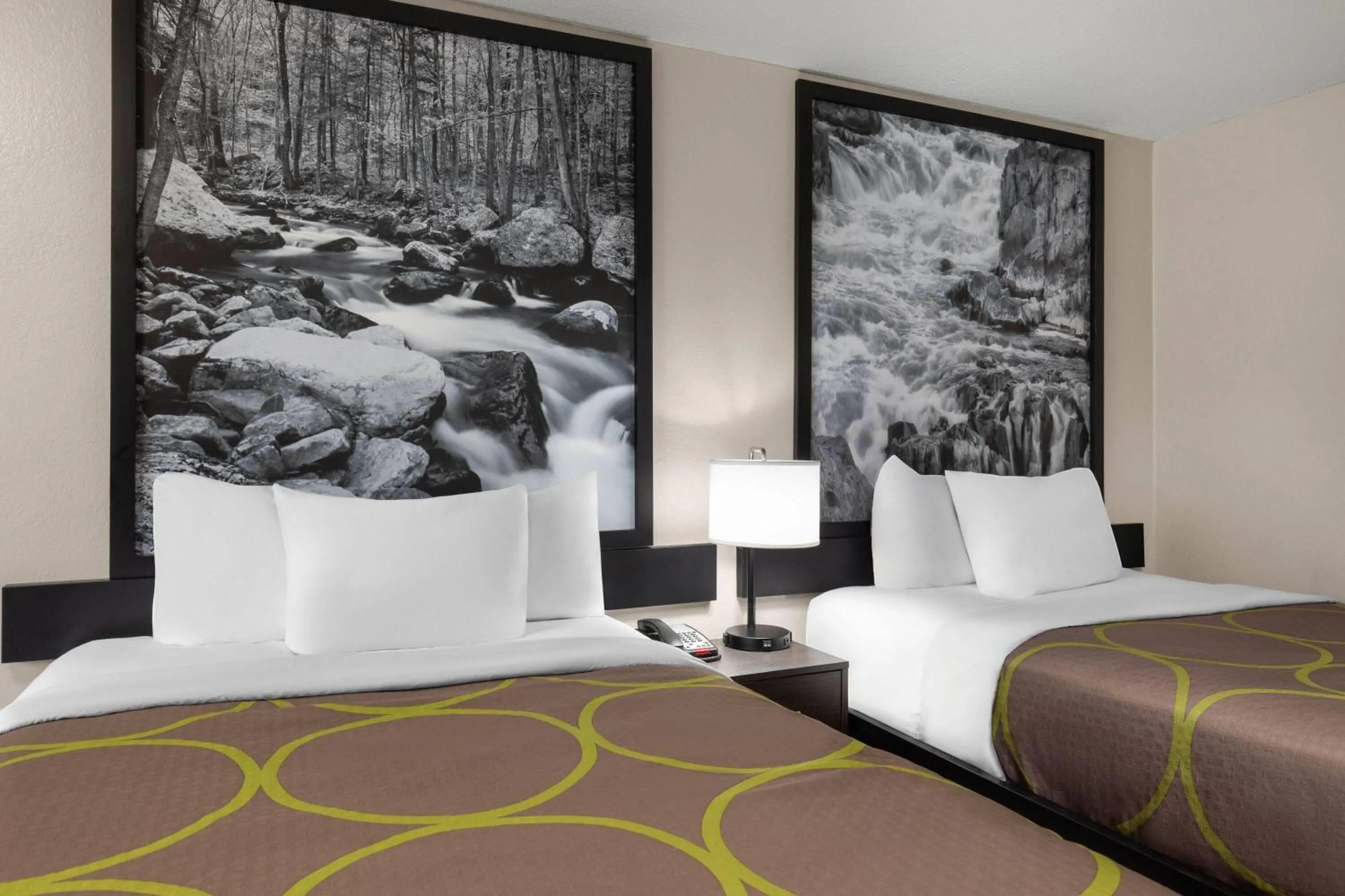 Photo of the whole room, Bed in Super 8 by Wyndham Charleston WV