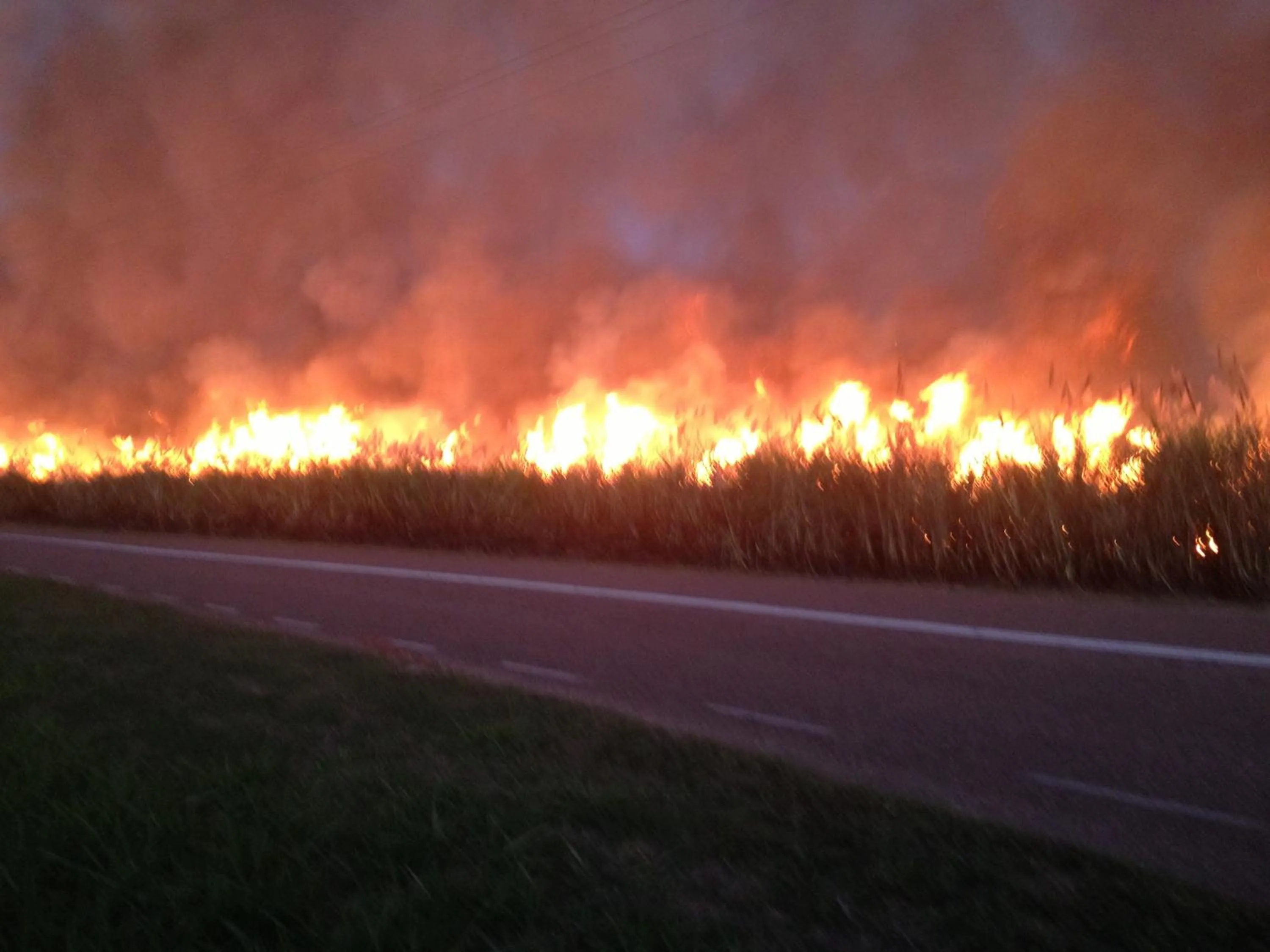 Seasons in Plantation Park Motor Inn