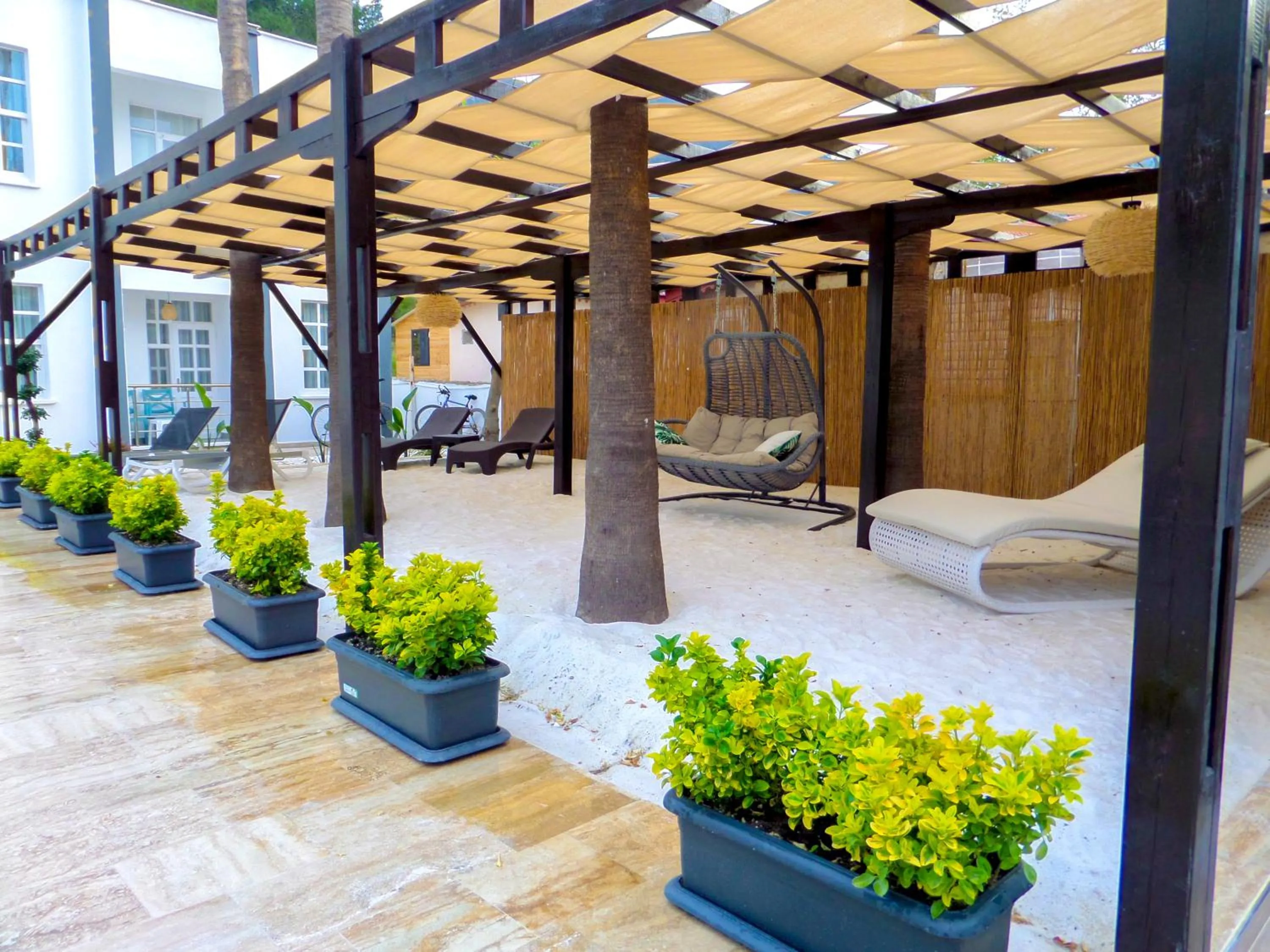 sunbed in Zulu Hotel