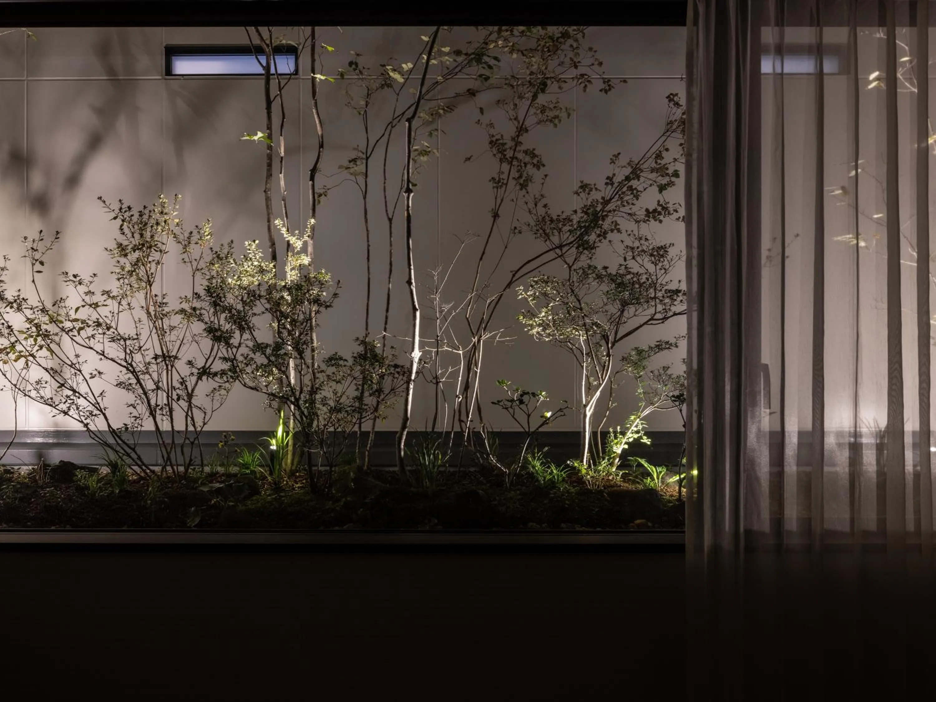 Garden in Hyatt Place Kyoto