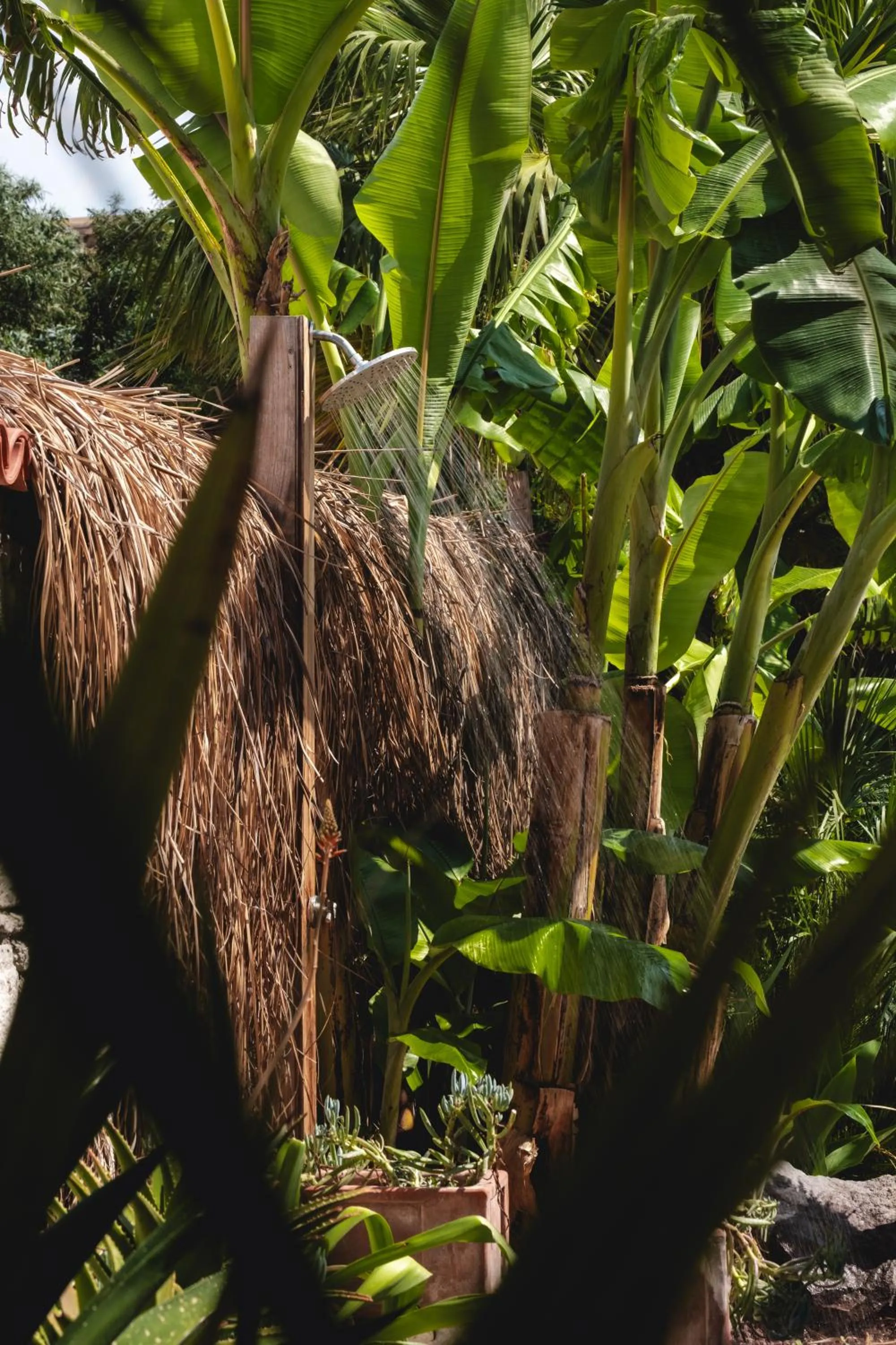 Garden view in Voger Alaçatı Silence