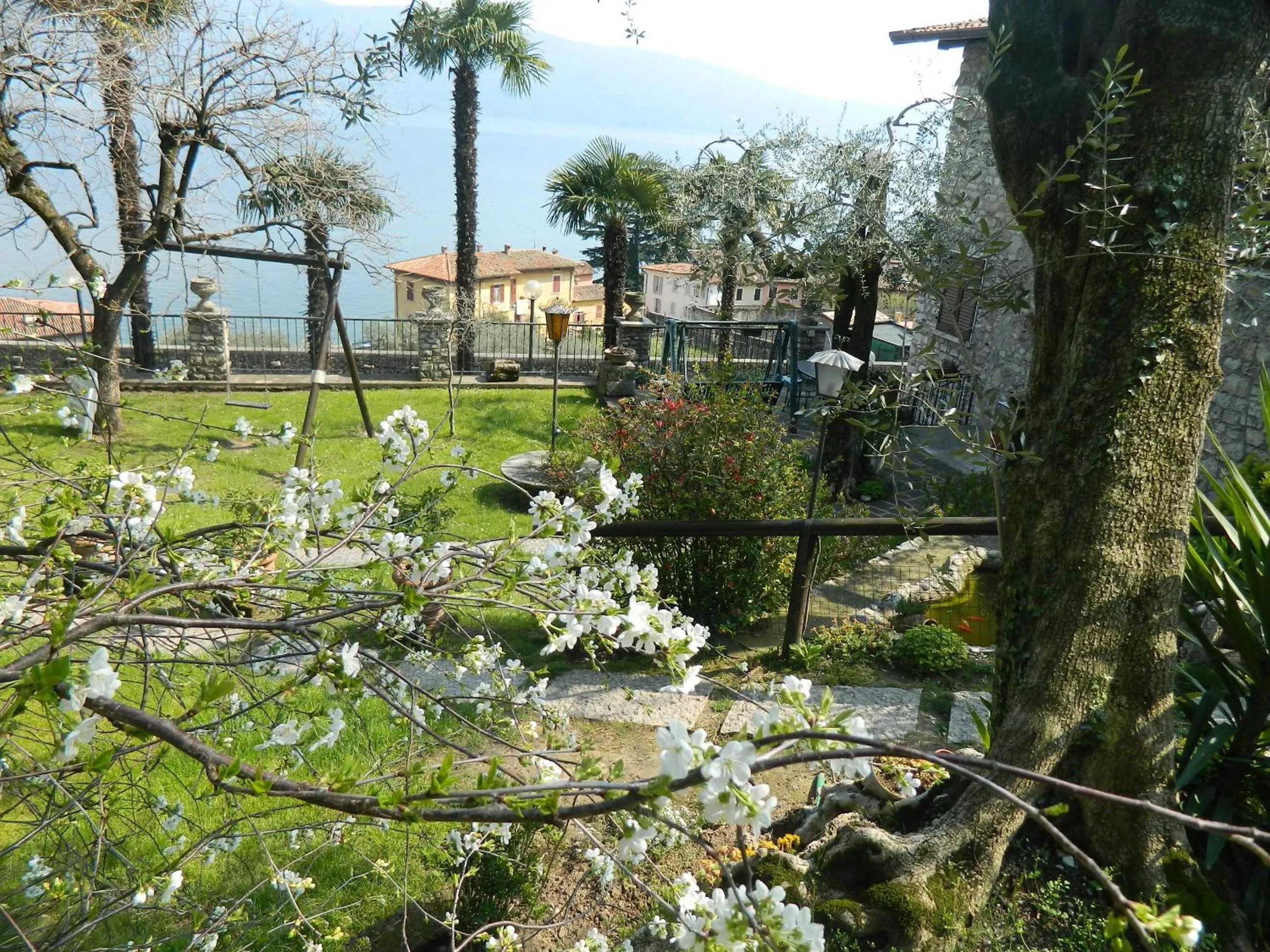 Garden in Hotel Palazzina