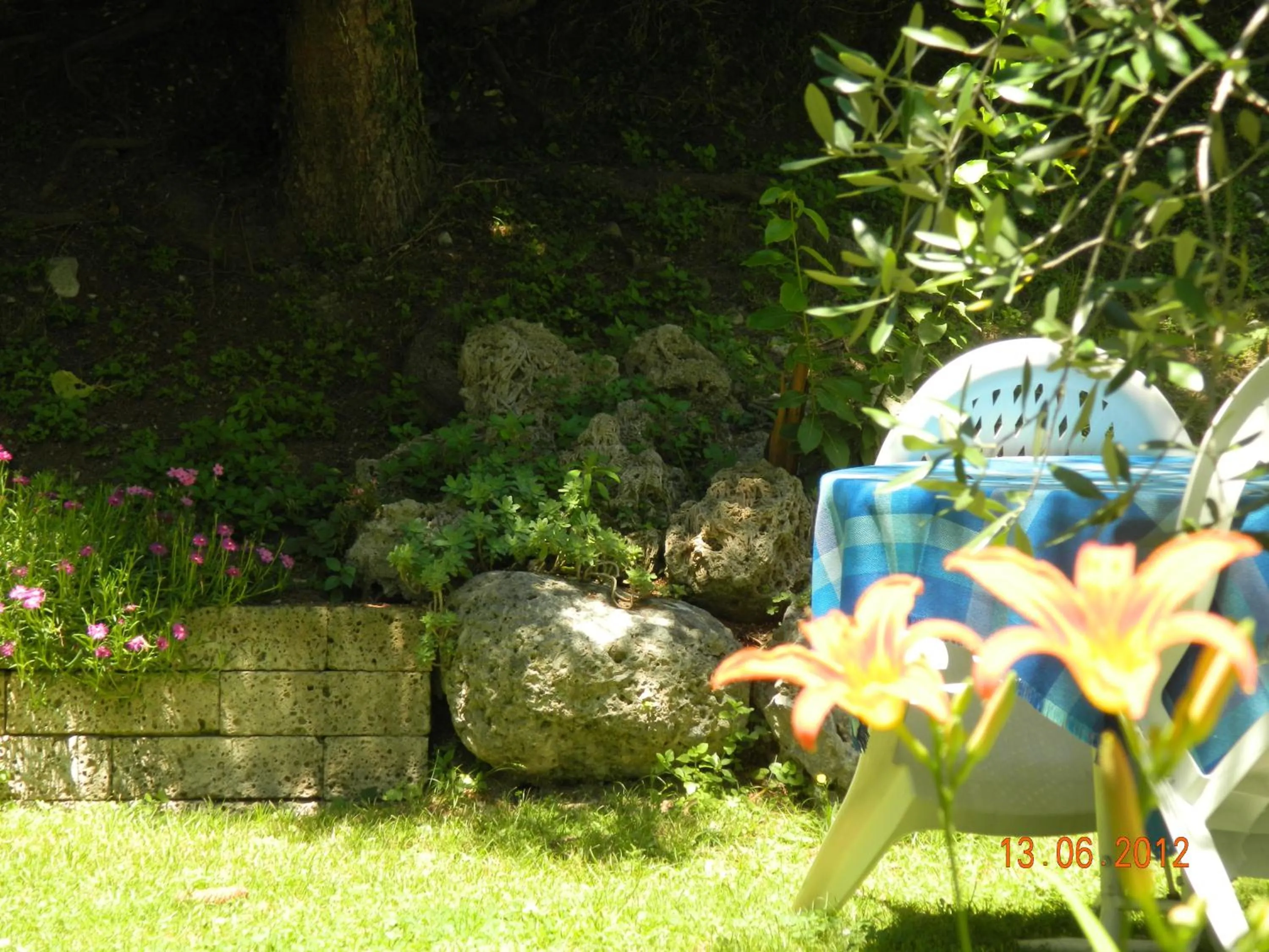 Garden in Hotel Palazzina