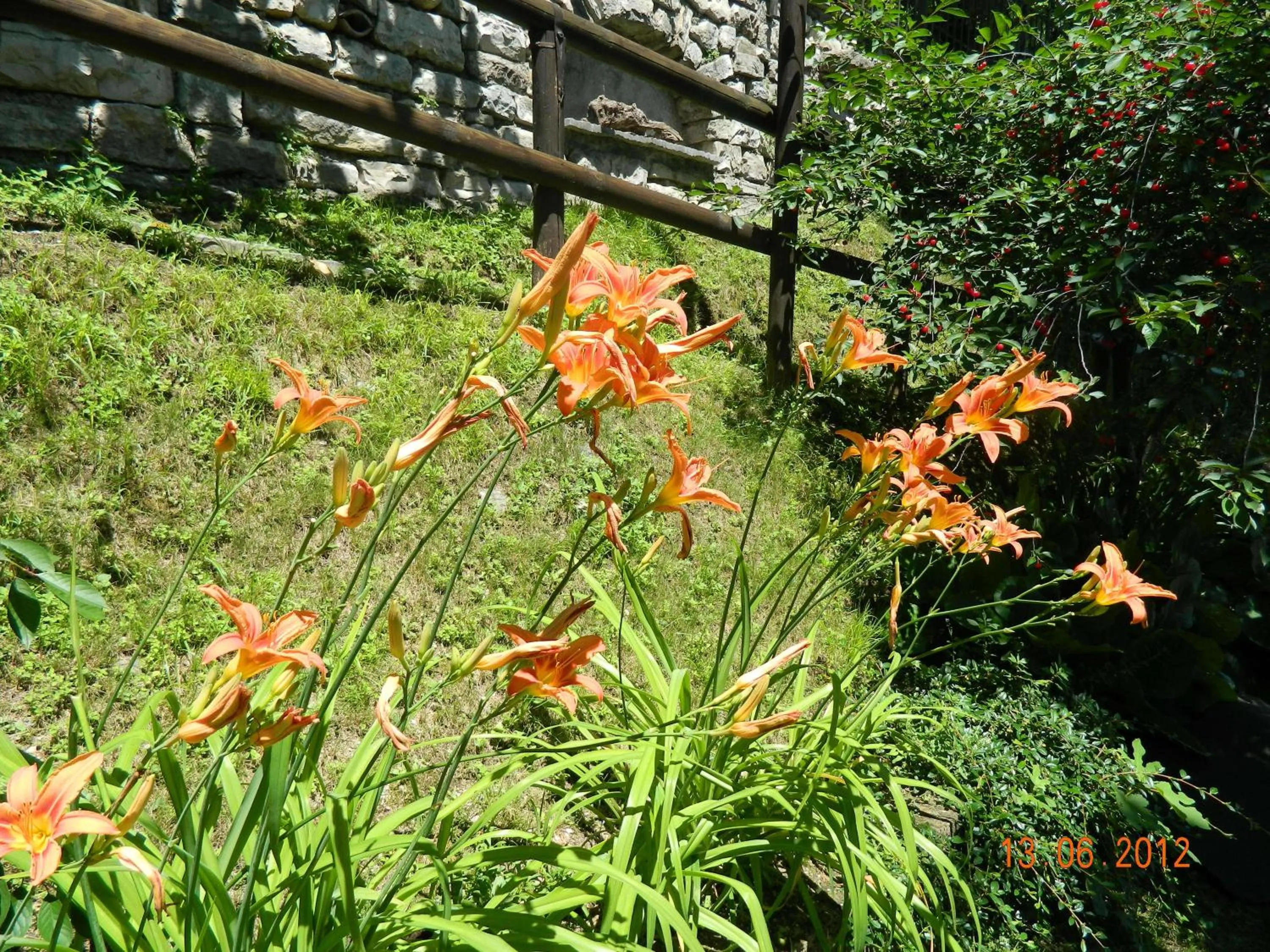 Garden in Hotel Palazzina