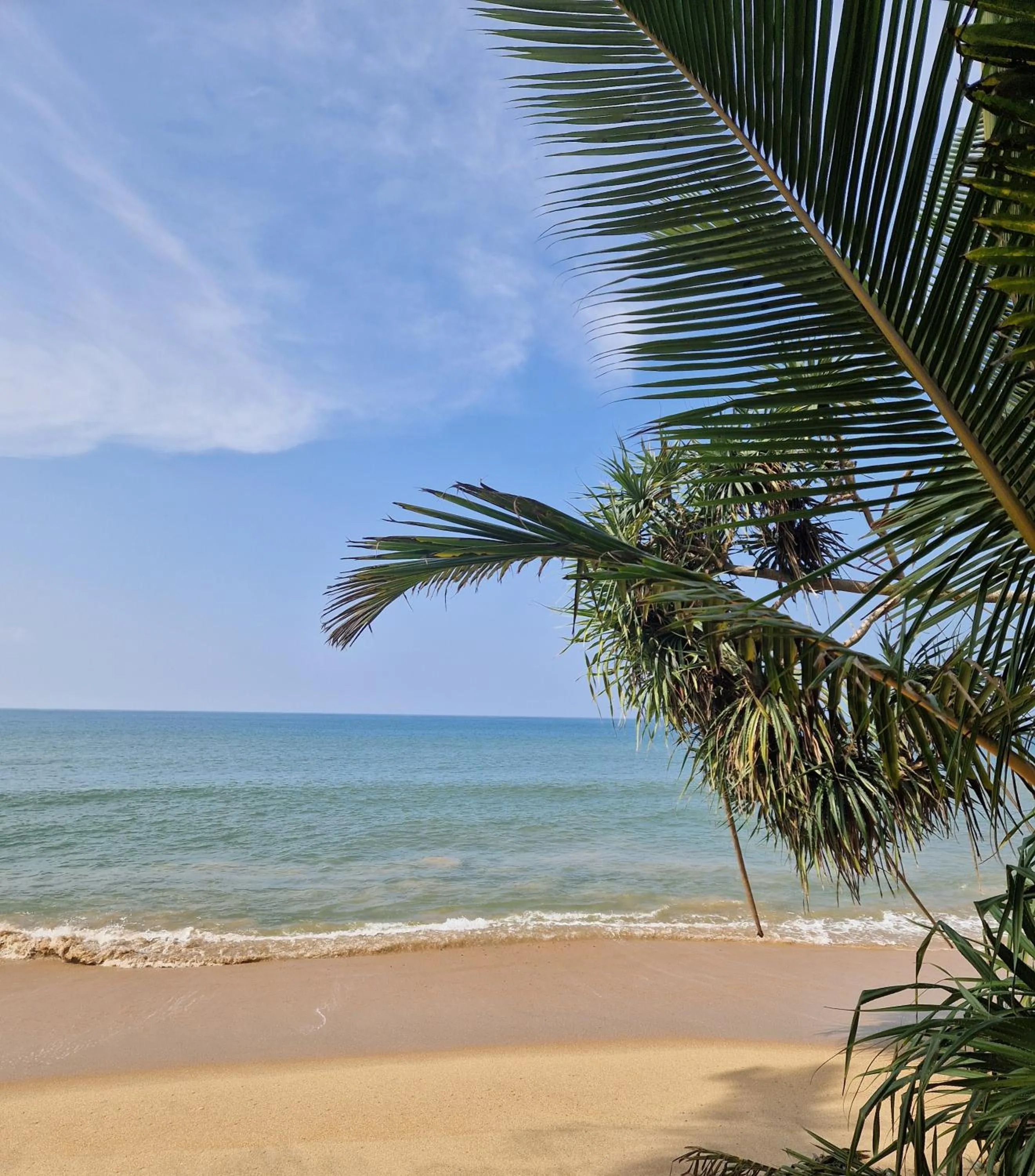 CocoVilla Boutique Resort