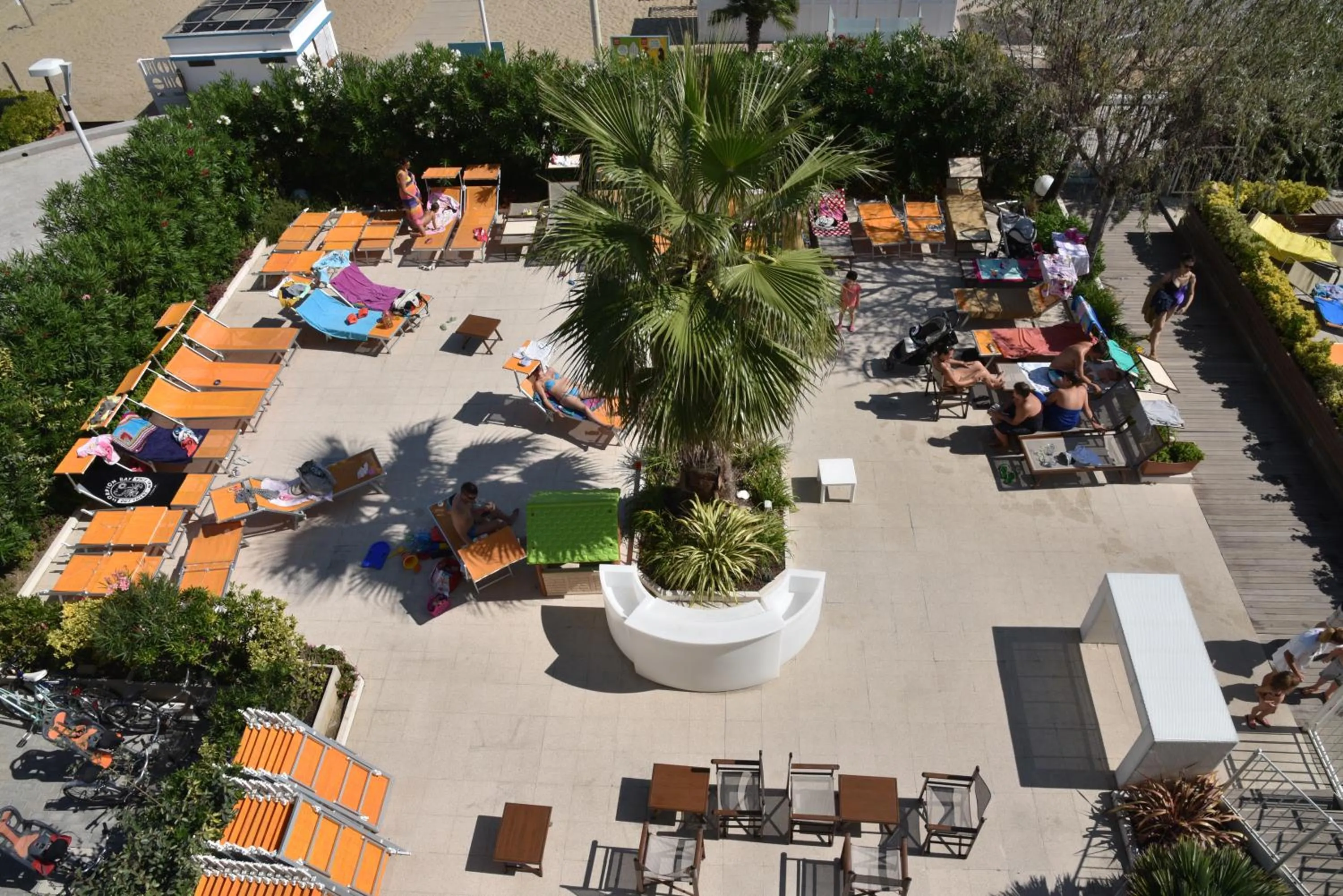 Garden in Hotel Fedora Riccione - FRONTE MARE