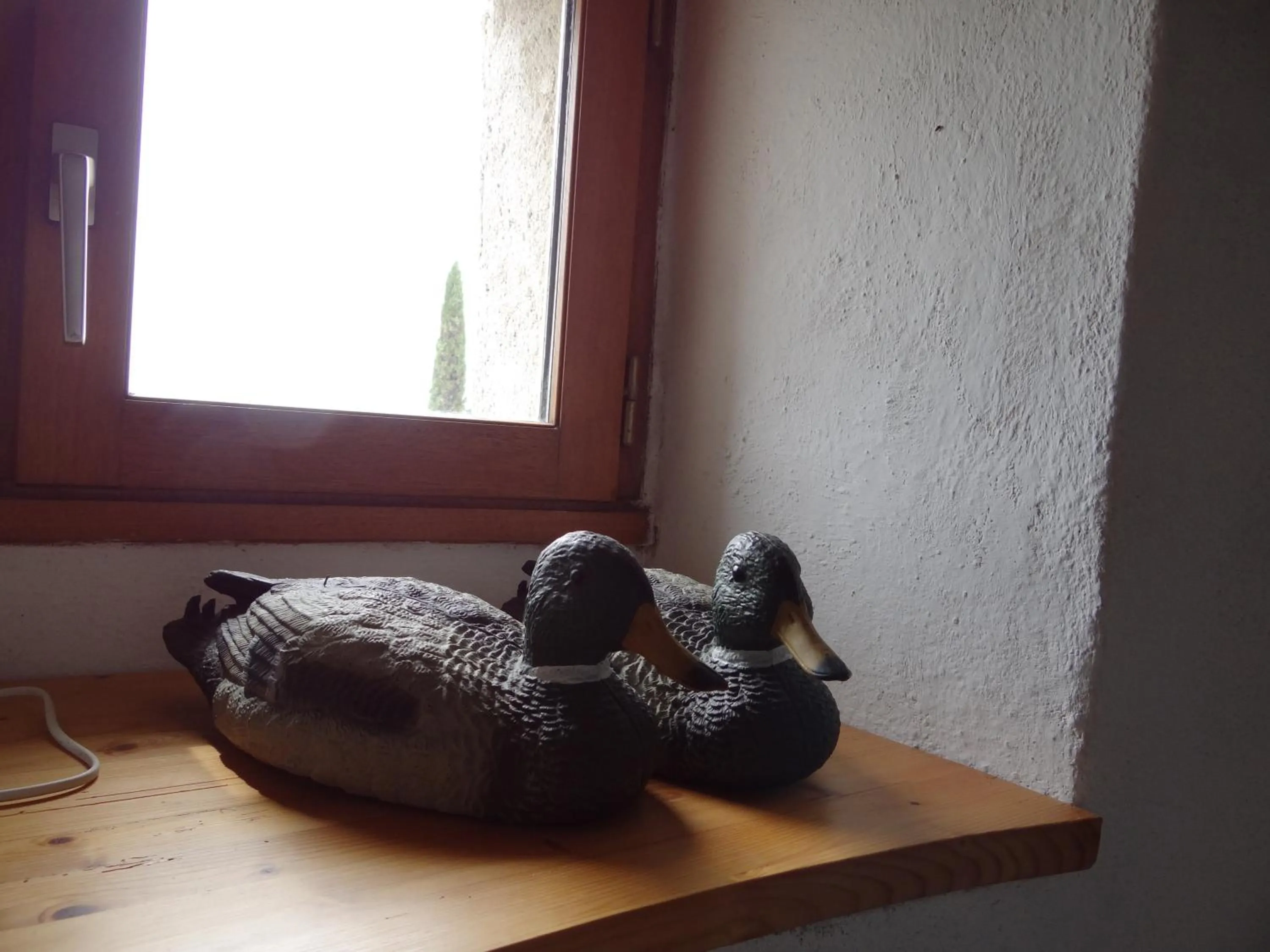 Decorative detail in La Tour du Moulin Géant