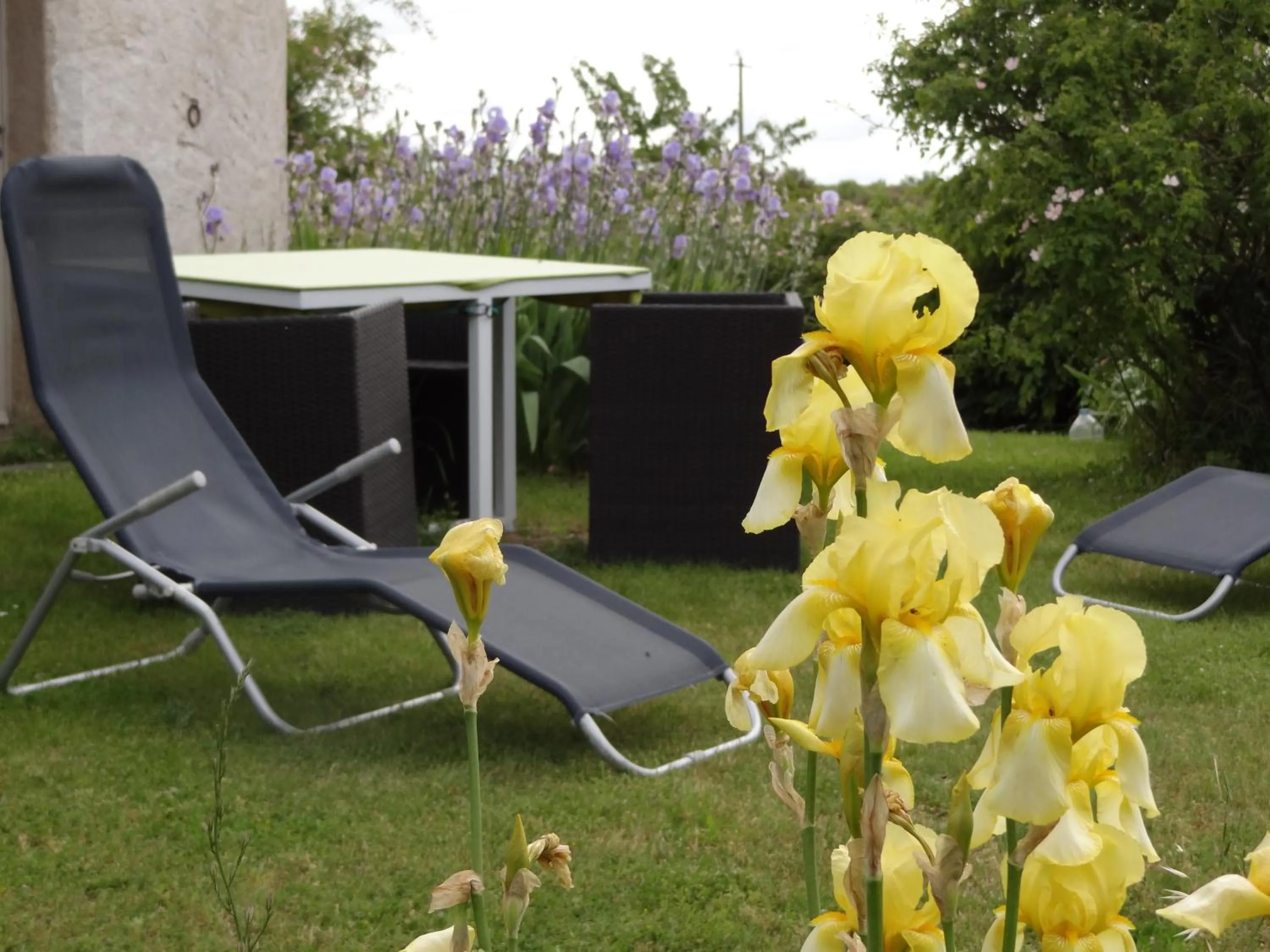 Garden in La Tour du Moulin Géant