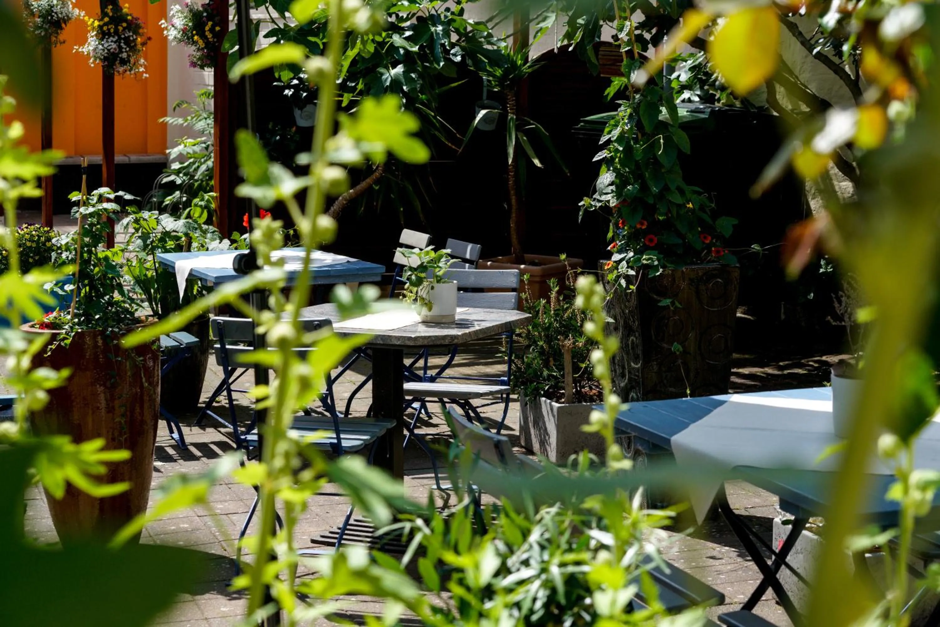 Patio in Hotel Zur Mühle