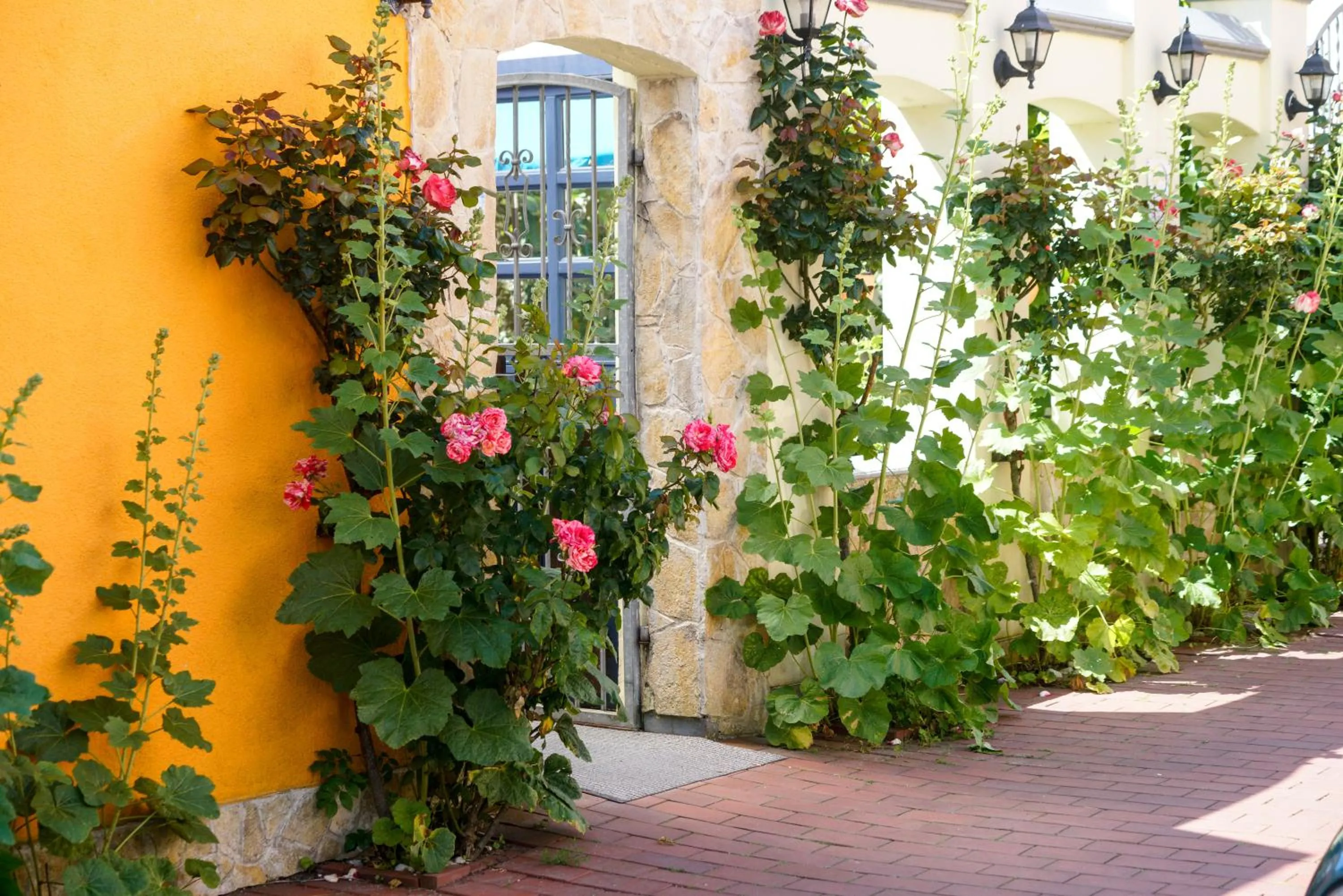 Facade/entrance in Hotel Zur Mühle