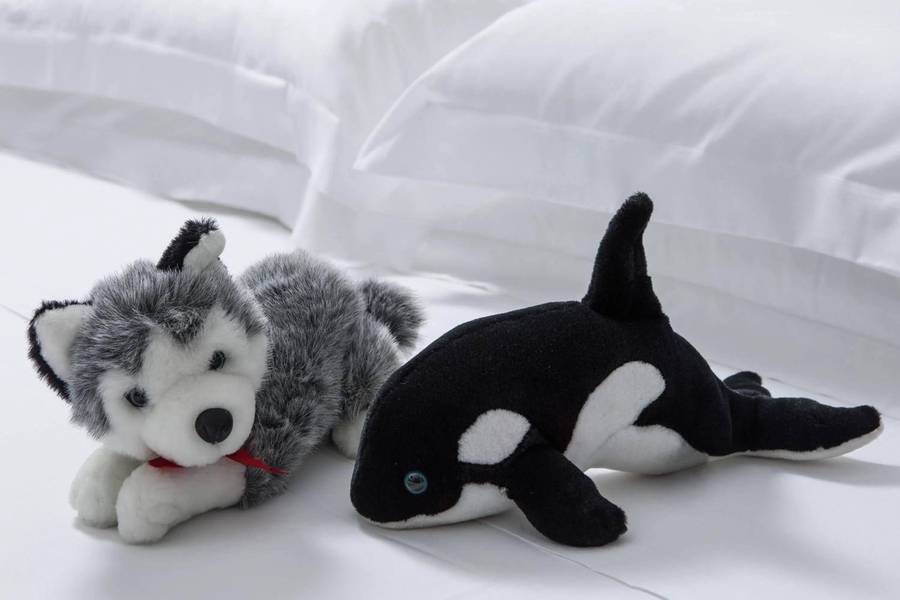 Decorative detail in Hotel San Giusto