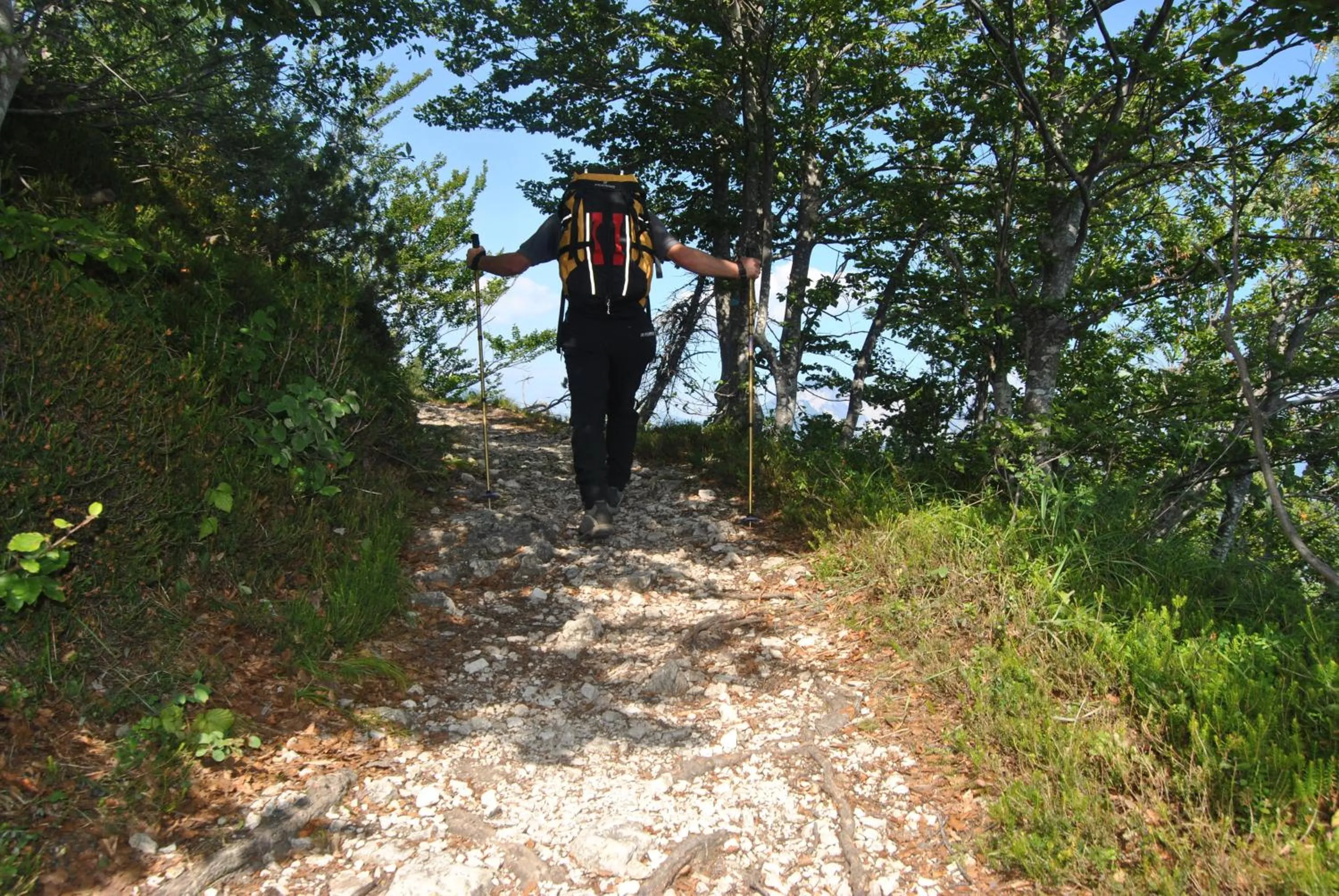 Hiking in Berry House