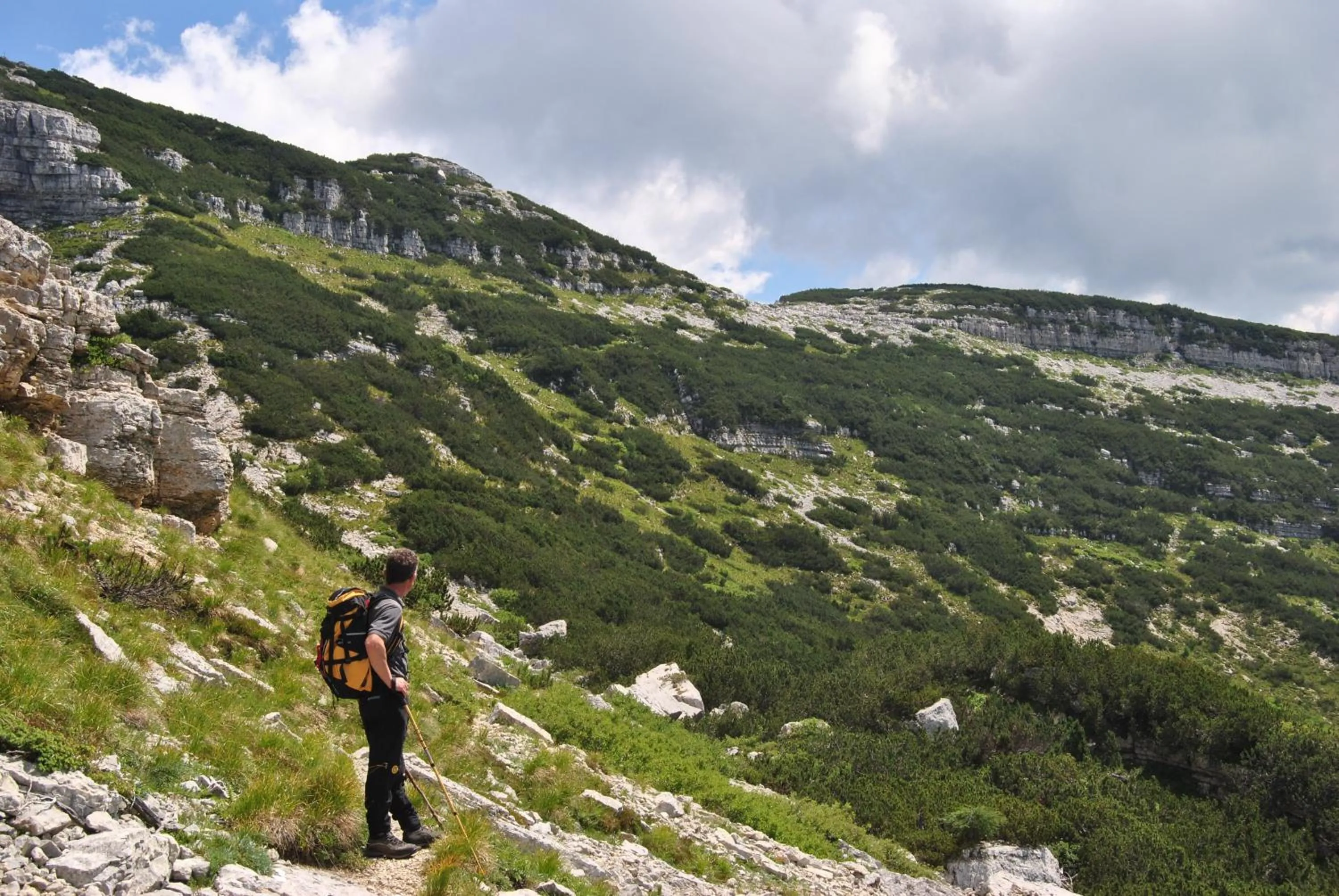 Hiking in Berry House