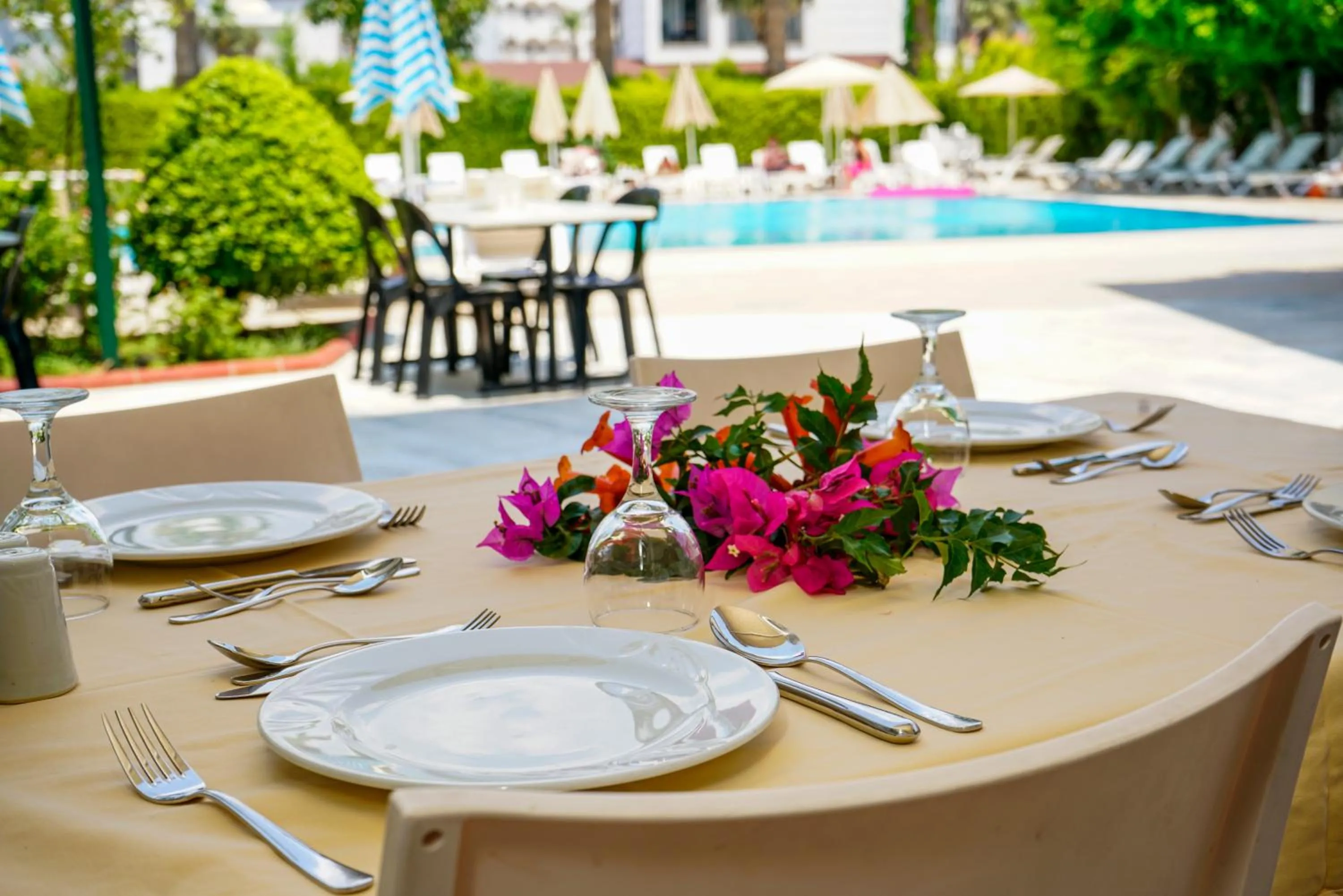 Restaurant/places to eat in Sonnen Hotel