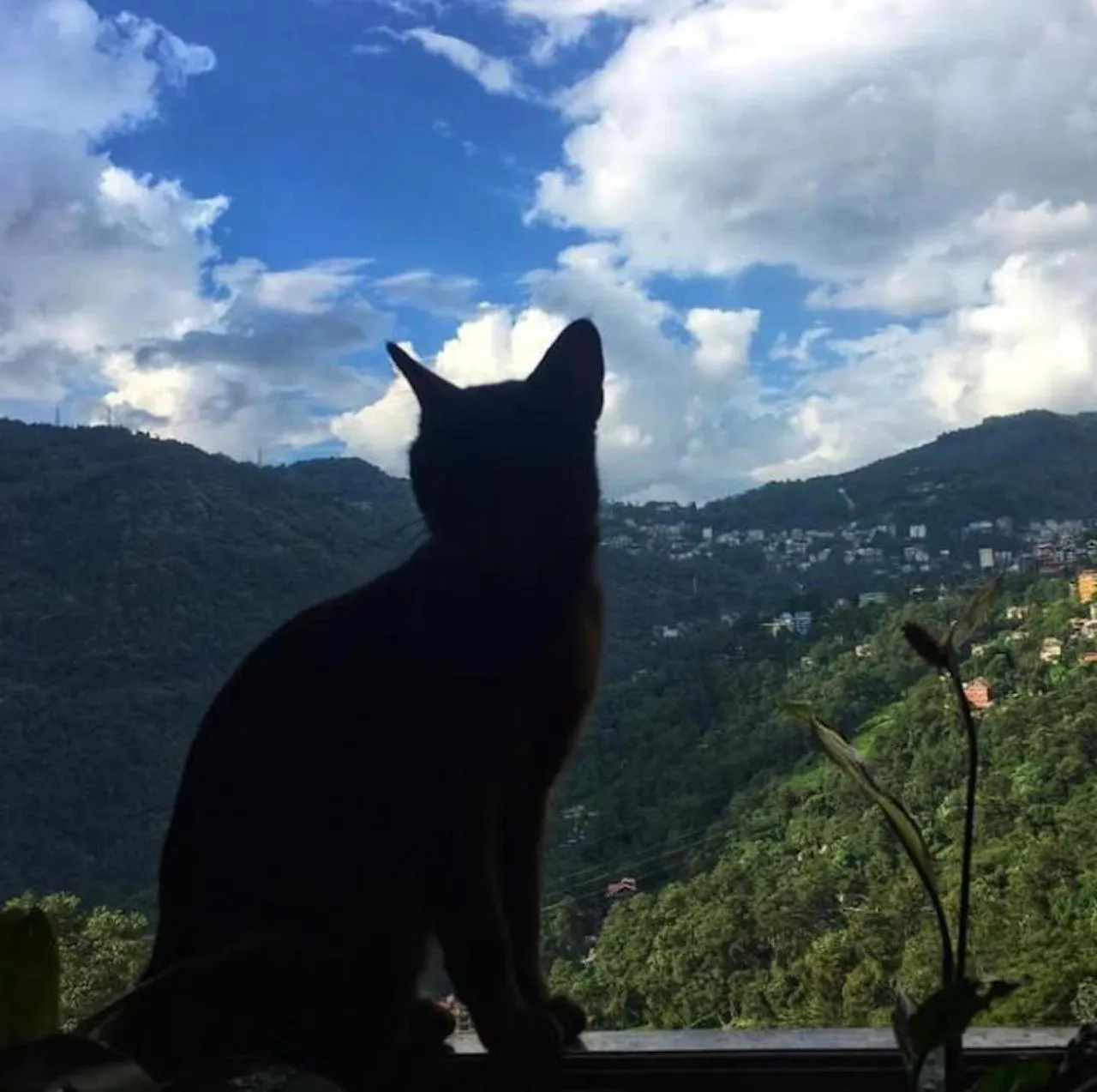 Day in House of Nomad