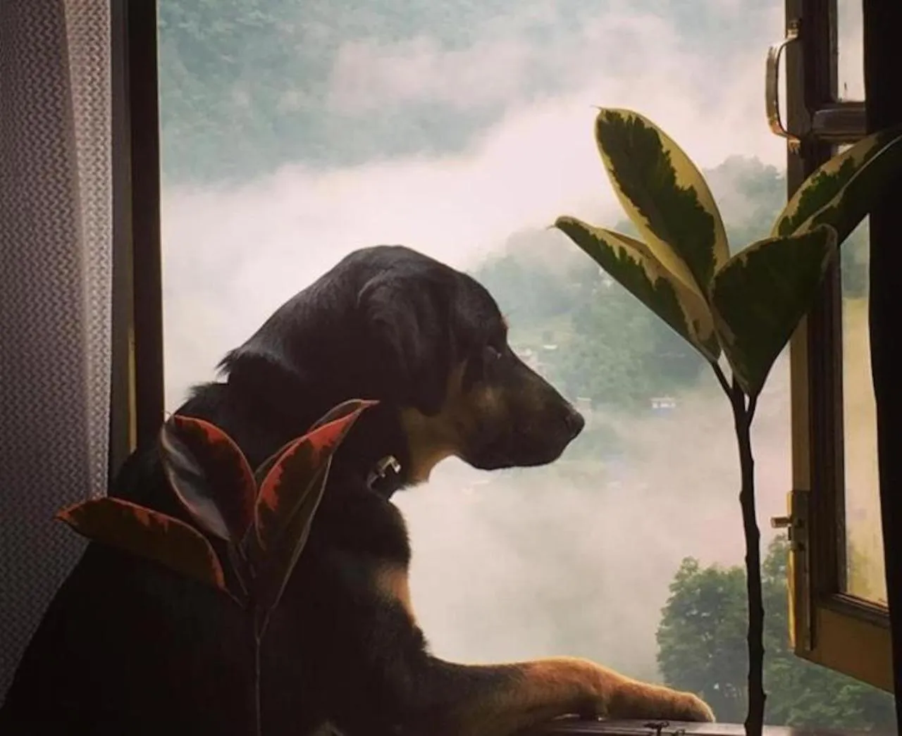 Day in House of Nomad