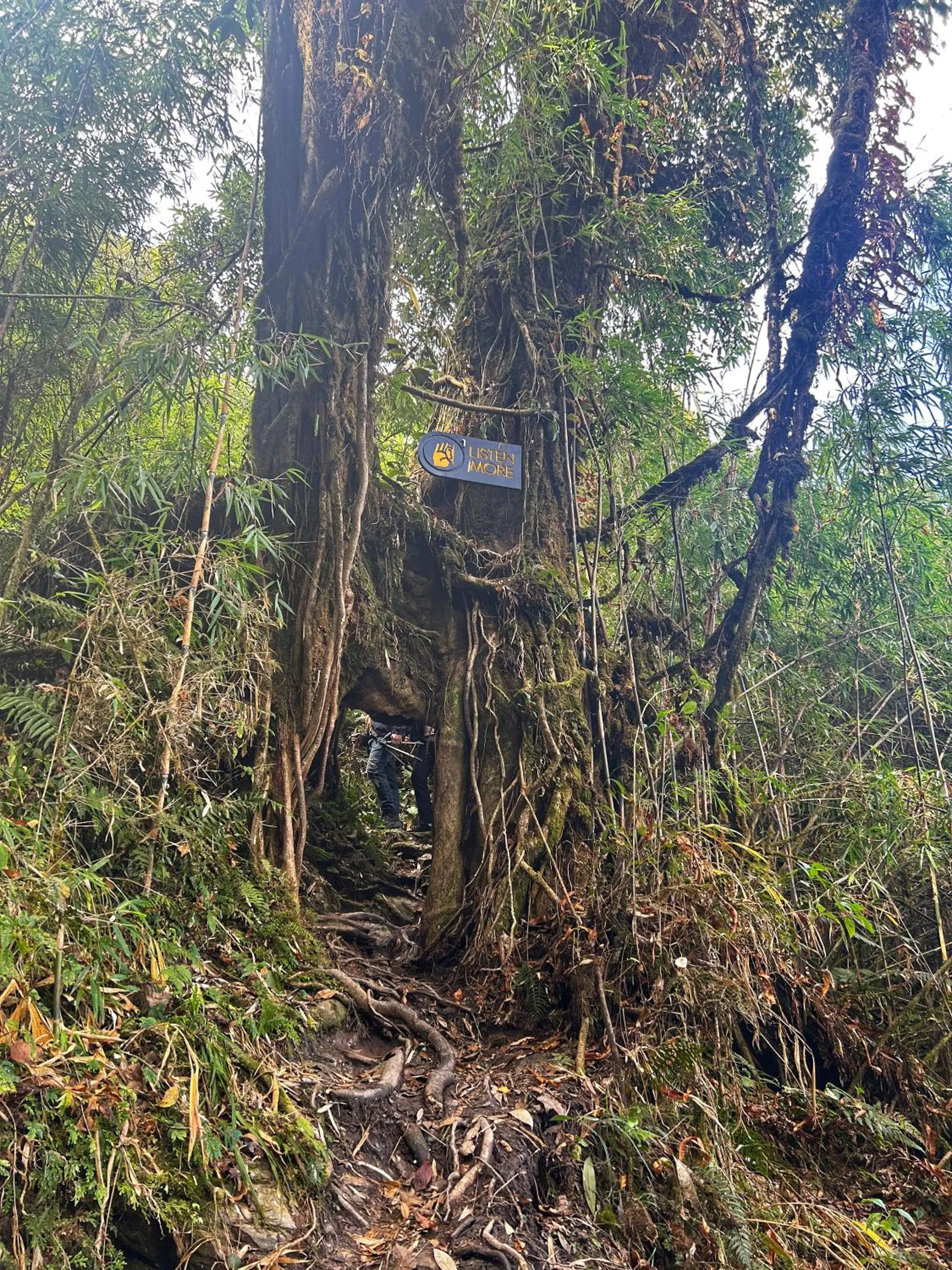 Natural landscape in House of Nomad