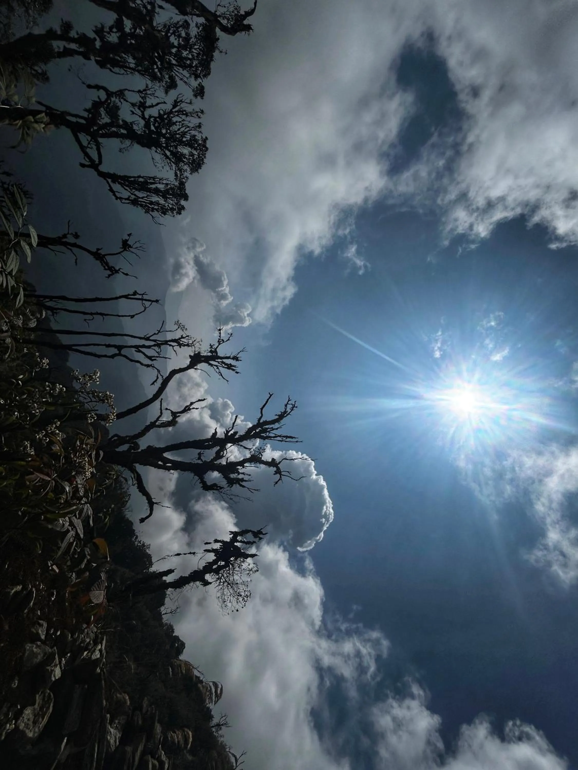 Natural landscape in House of Nomad