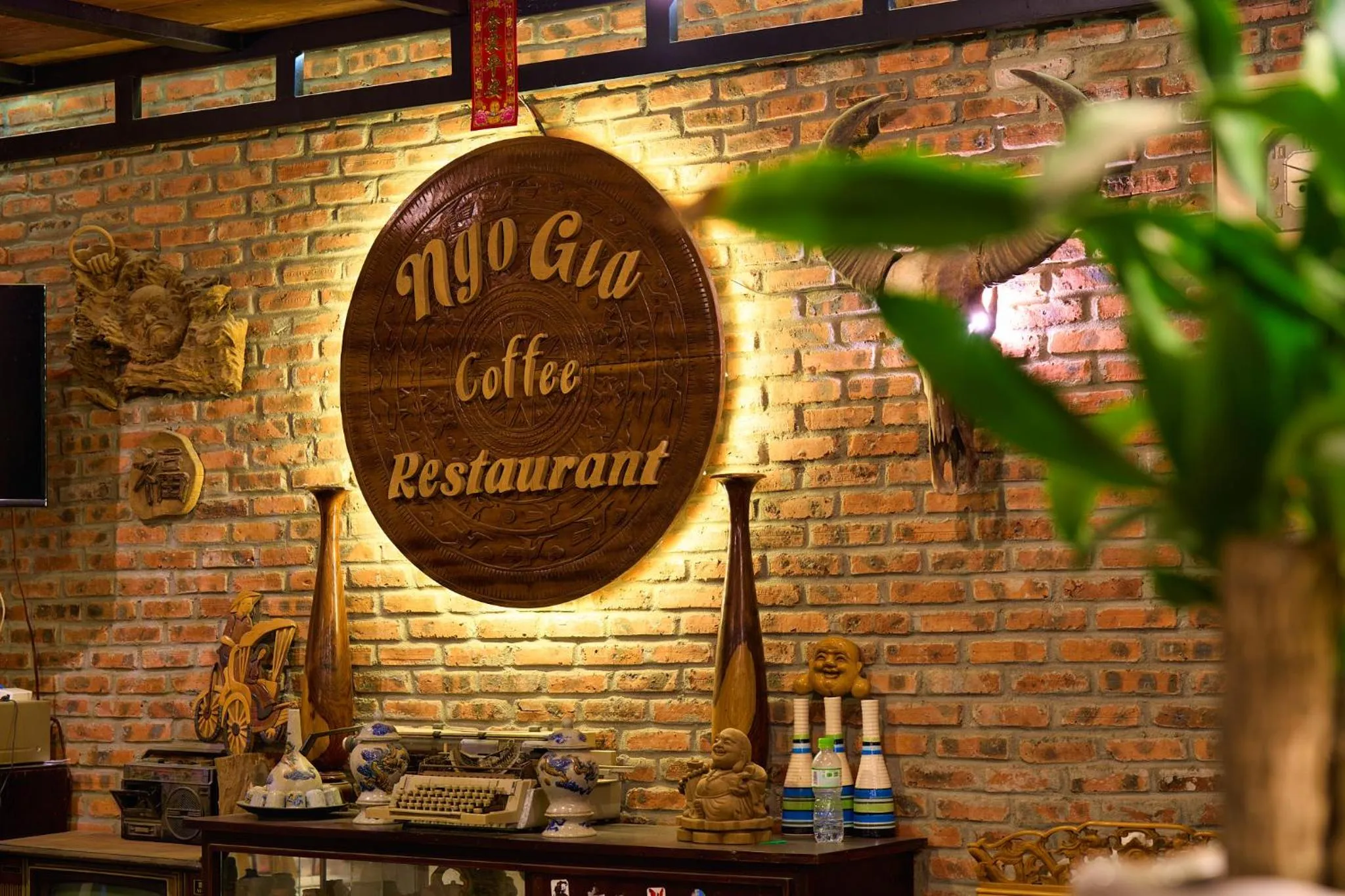 Restaurant/places to eat in The Muse House