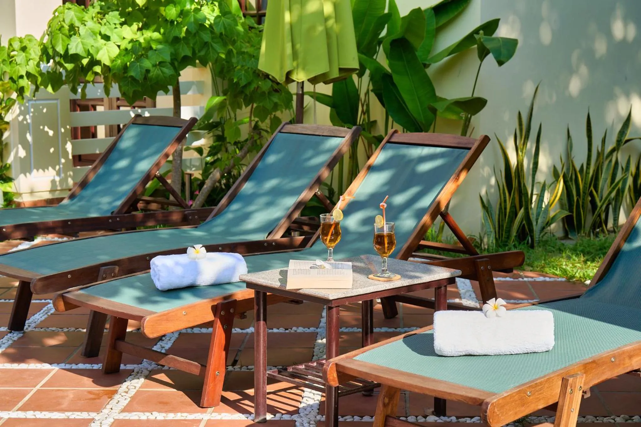 Garden in The Muse House