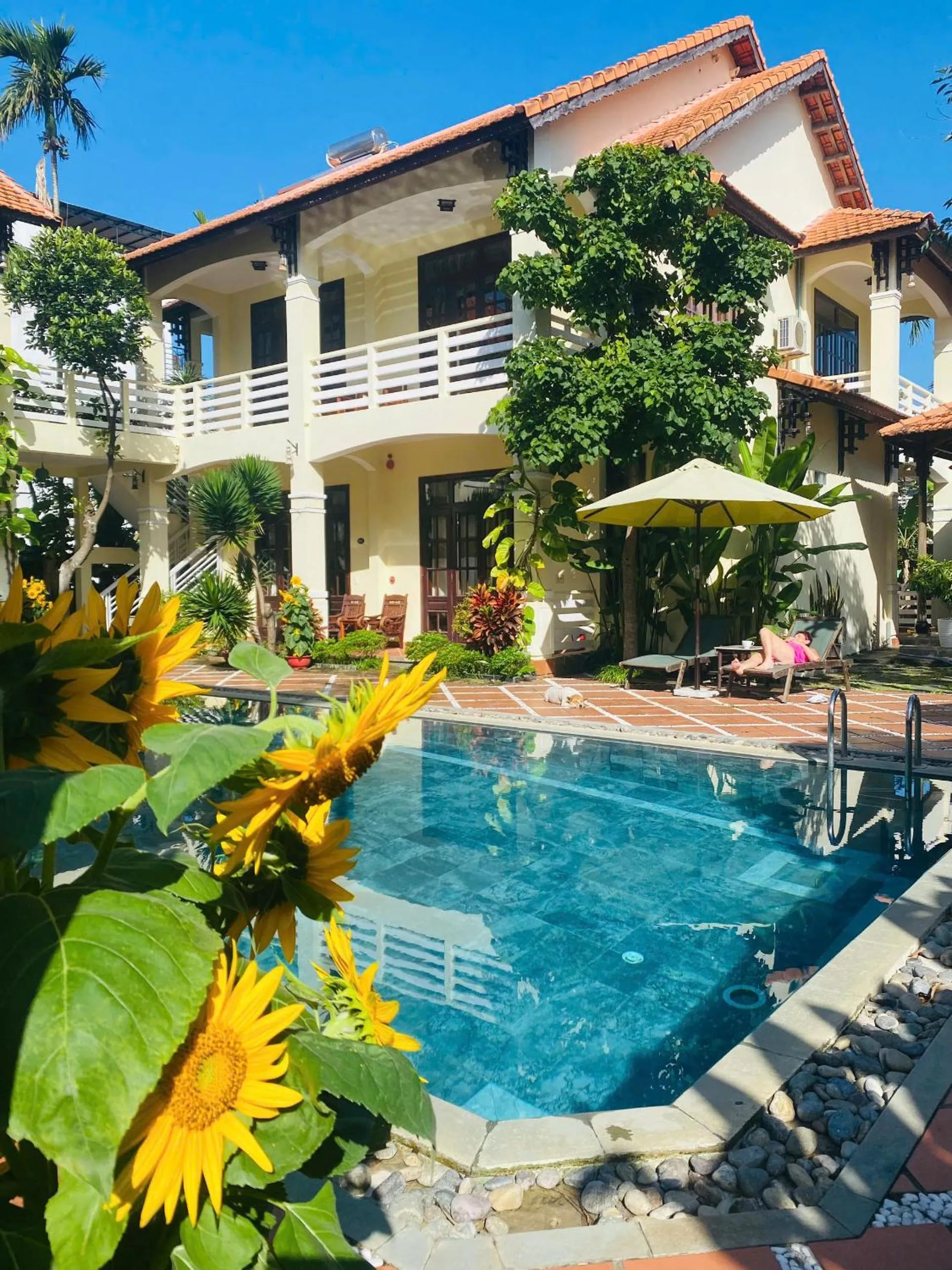 Swimming pool in The Muse House
