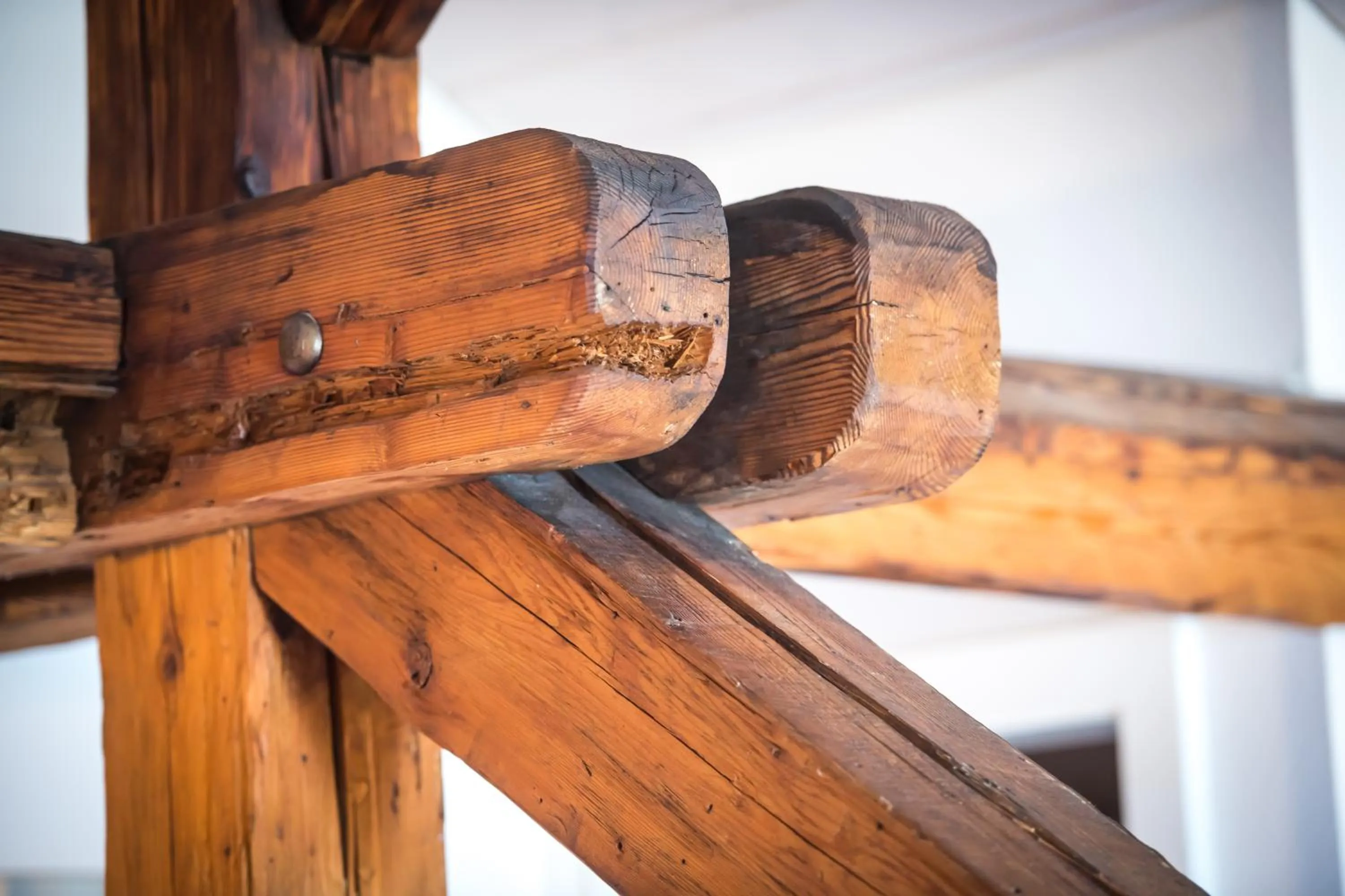 Area and facilities in Hôtel Bon Rivage