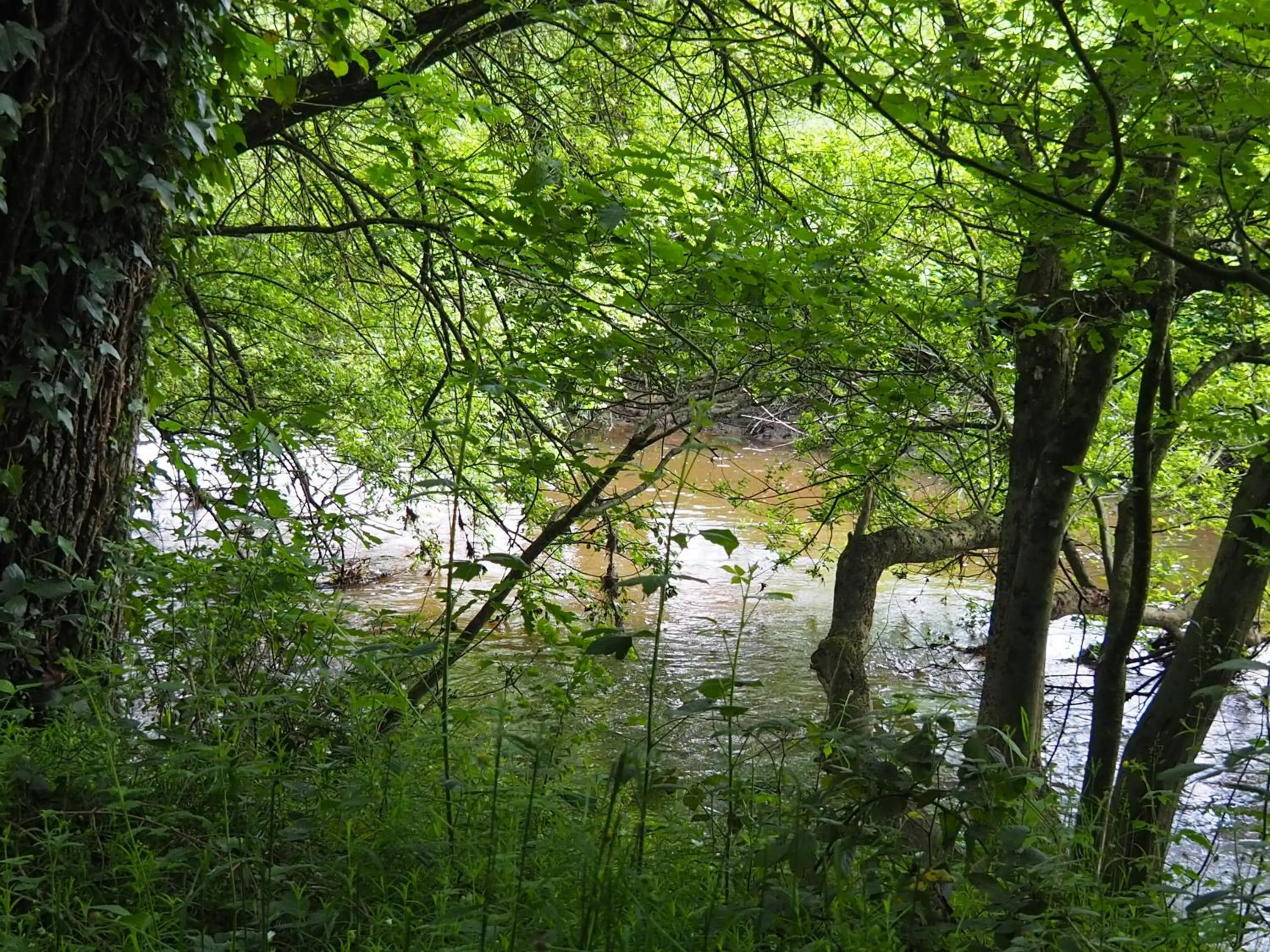 Natural landscape in B&B L'Atelier du Presbytère