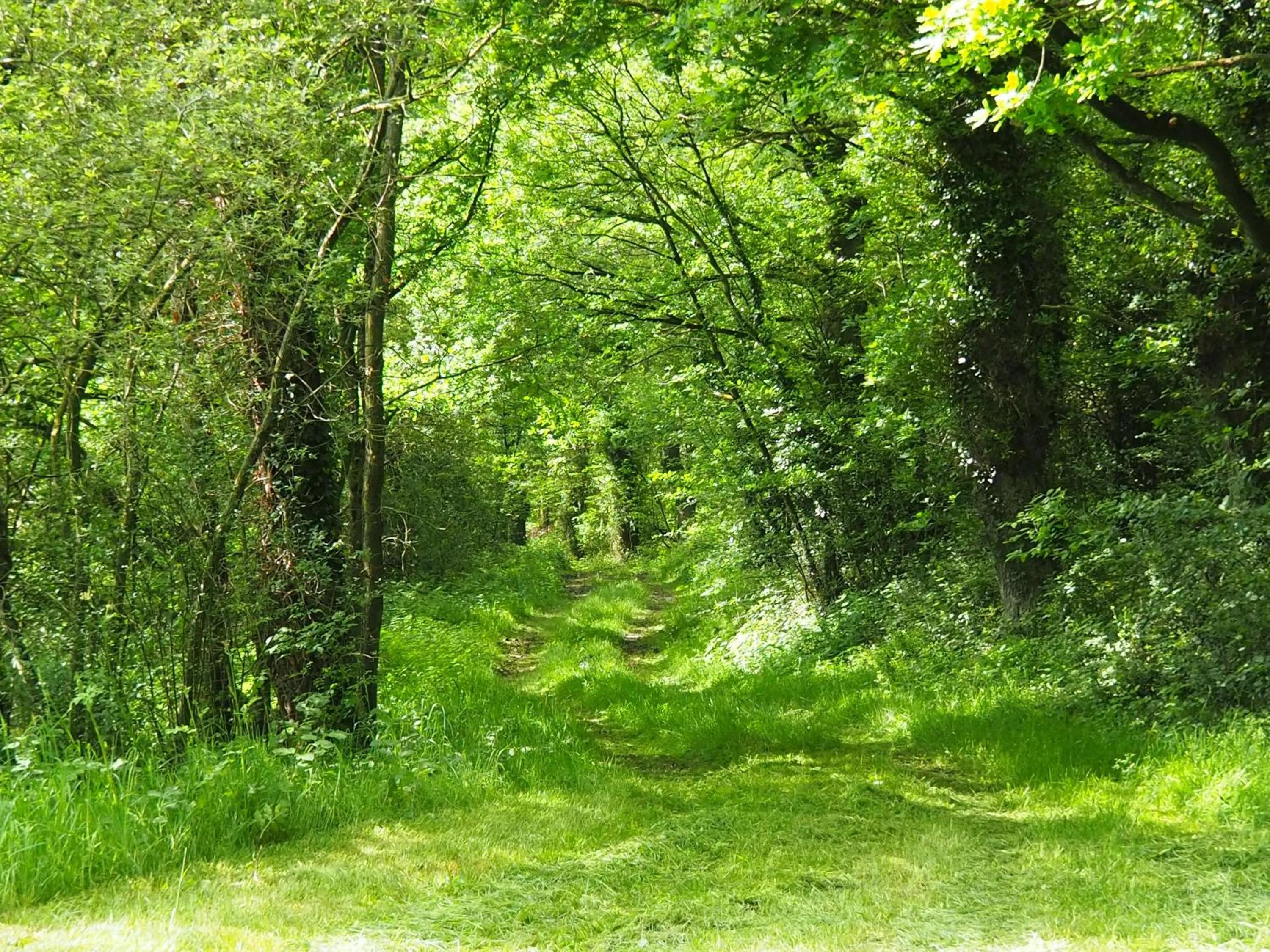 Natural landscape in B&B L'Atelier du Presbytère