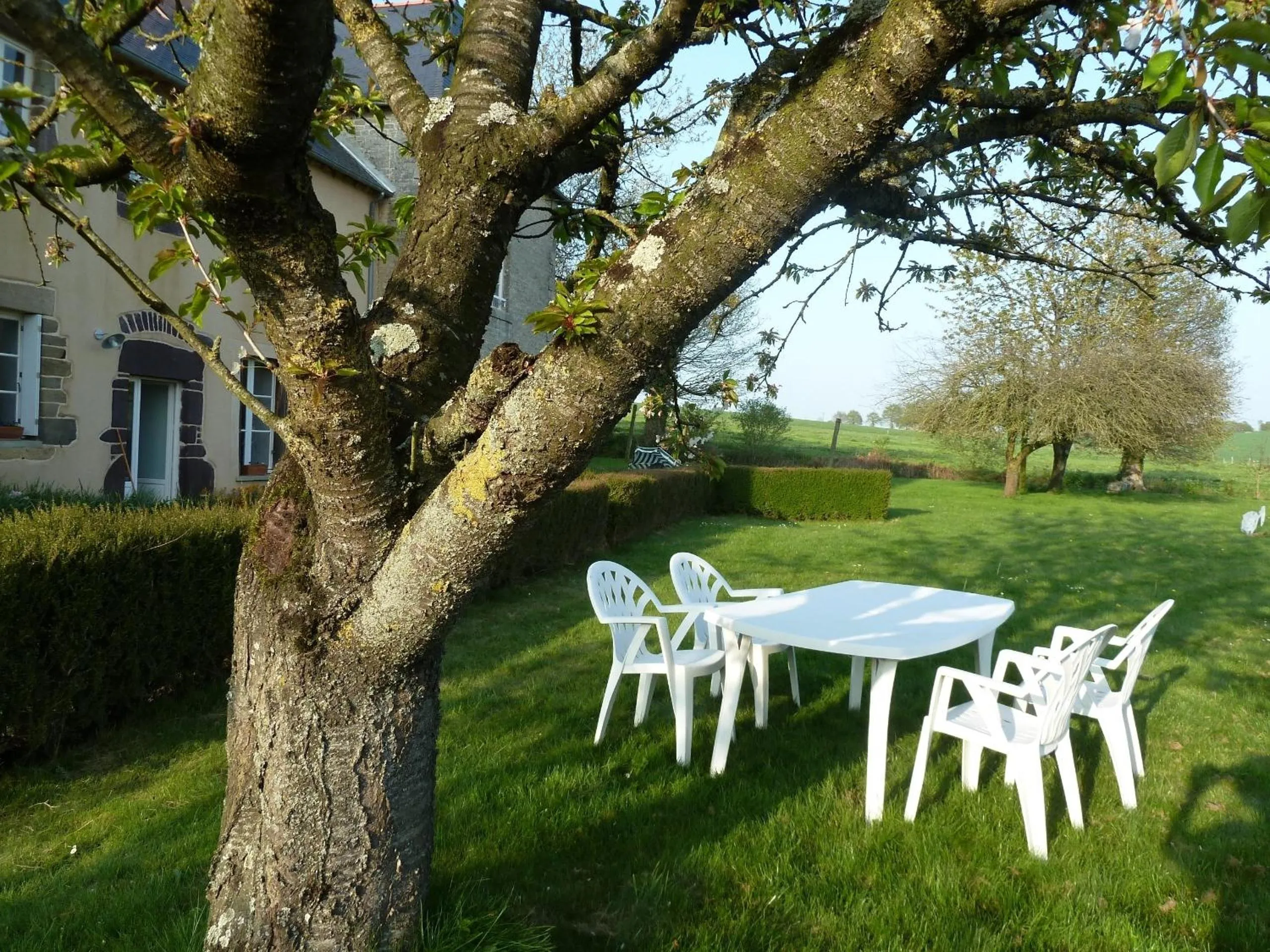 Garden in B&B L'Atelier du Presbytère