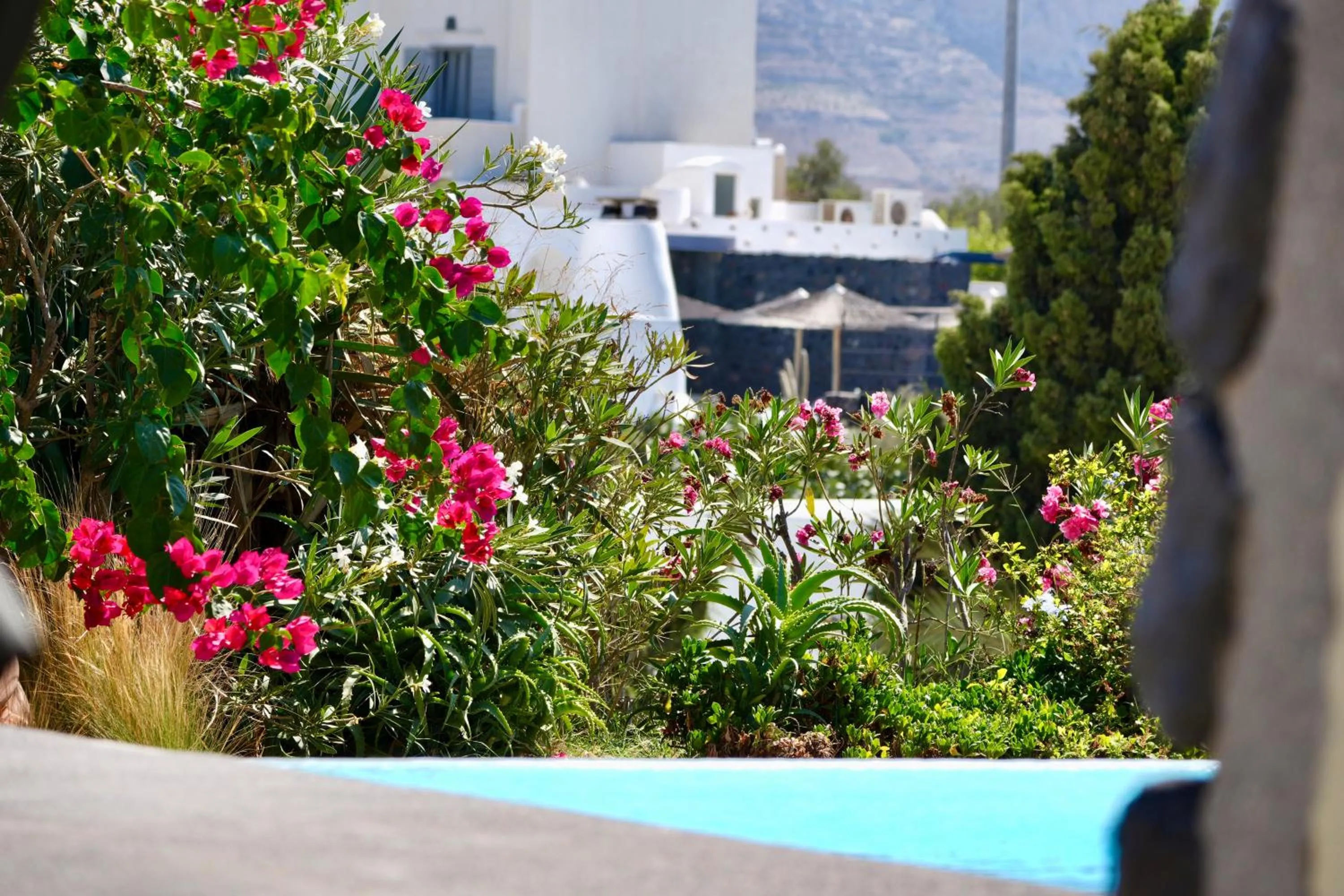 Swimming pool in Santorini Heritage Villas