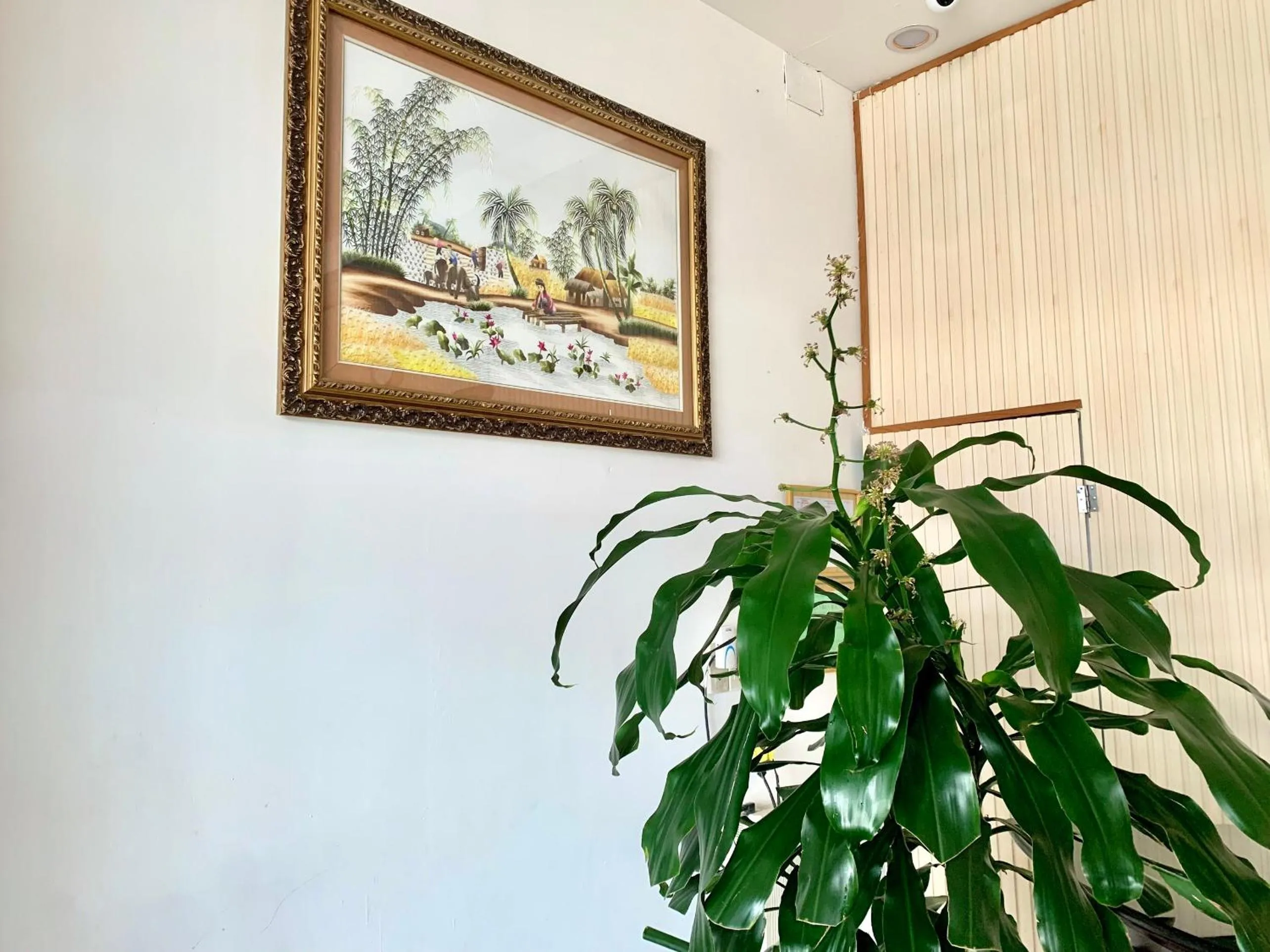 Property building in HOÀNG DIỆU DALAT