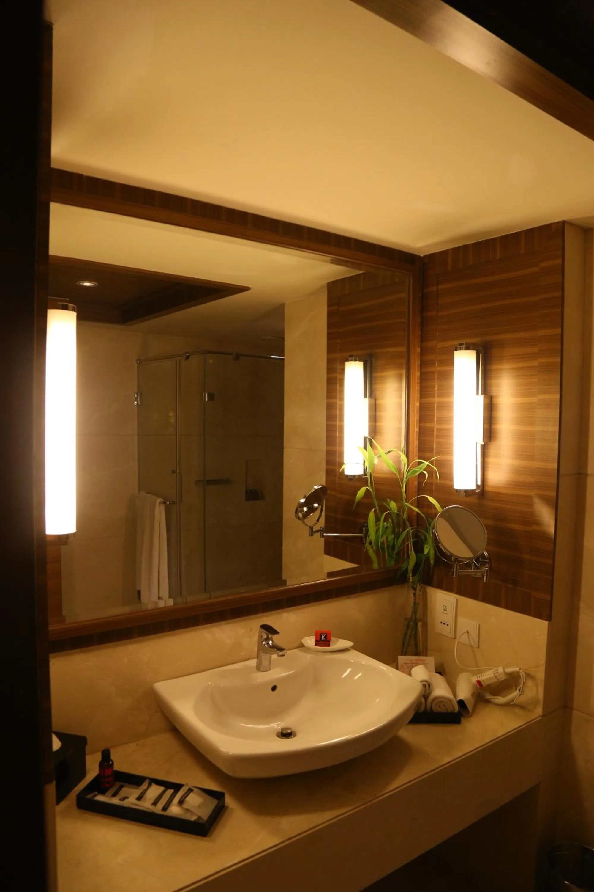 Bathroom in The Lalit Chandigarh