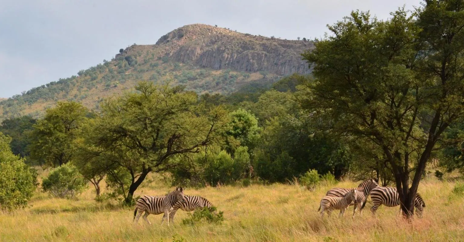 Day in Intaba Thulile