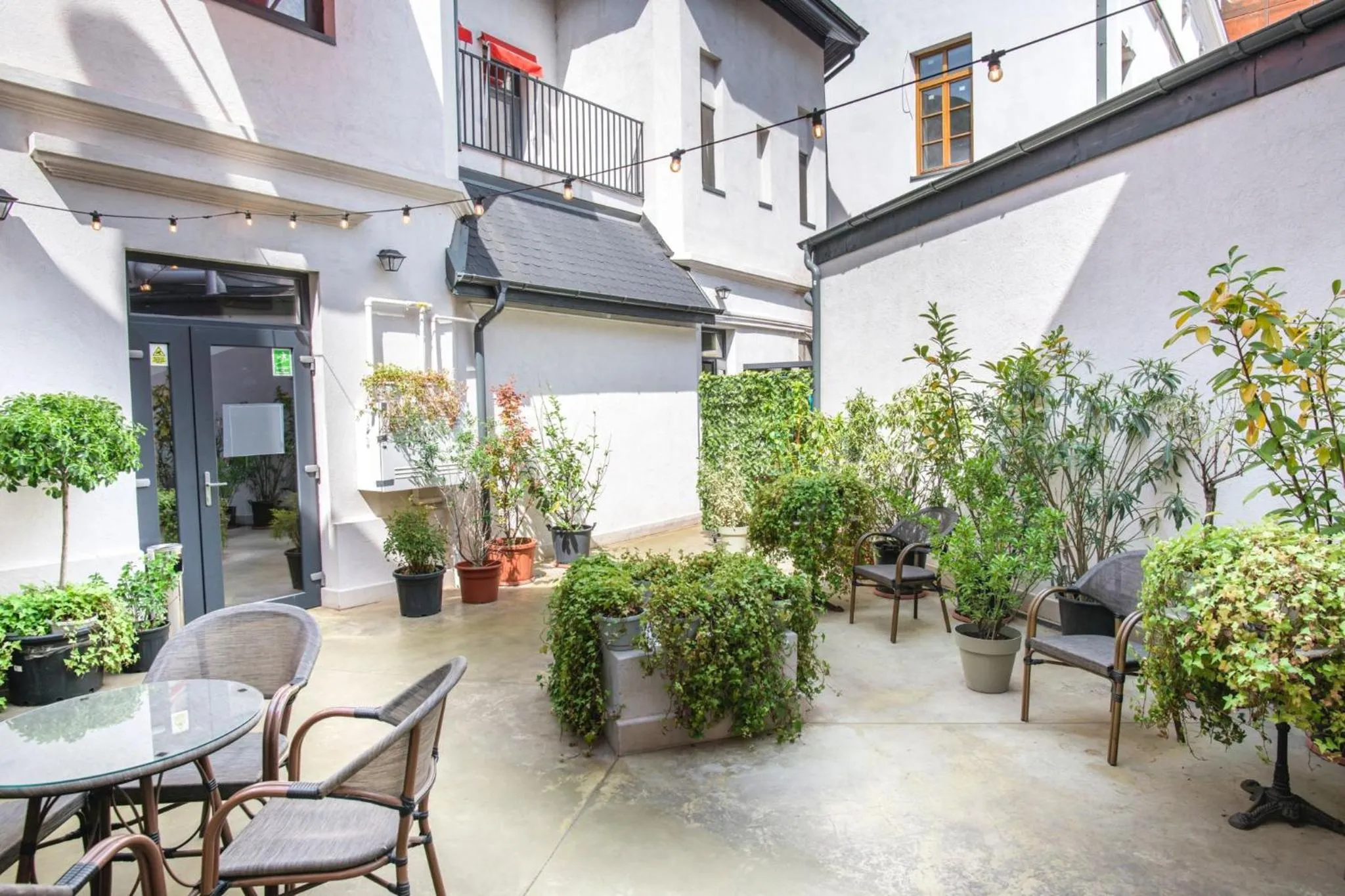 Garden in Hotel Forty One