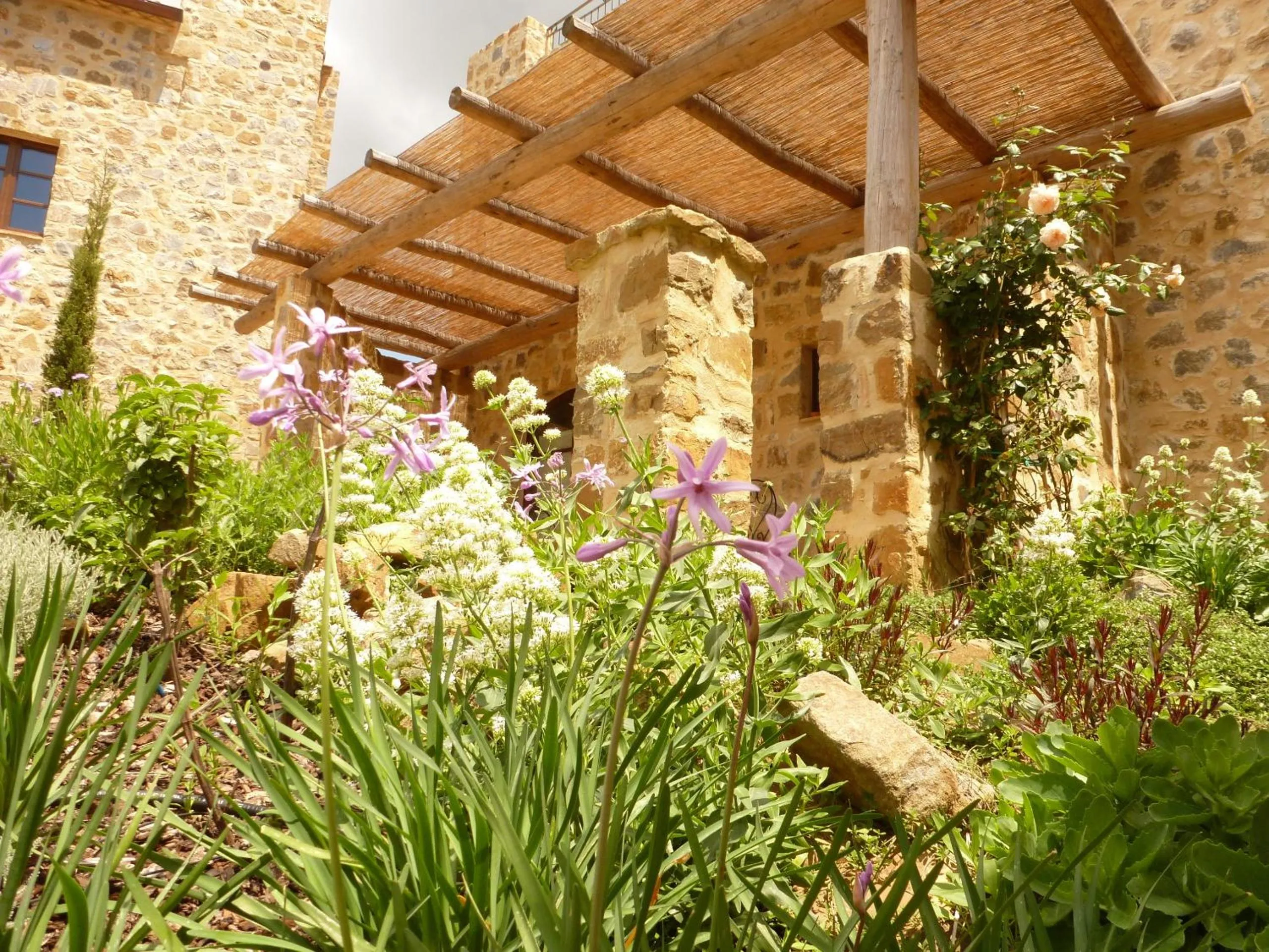 Garden in Castel Brunello