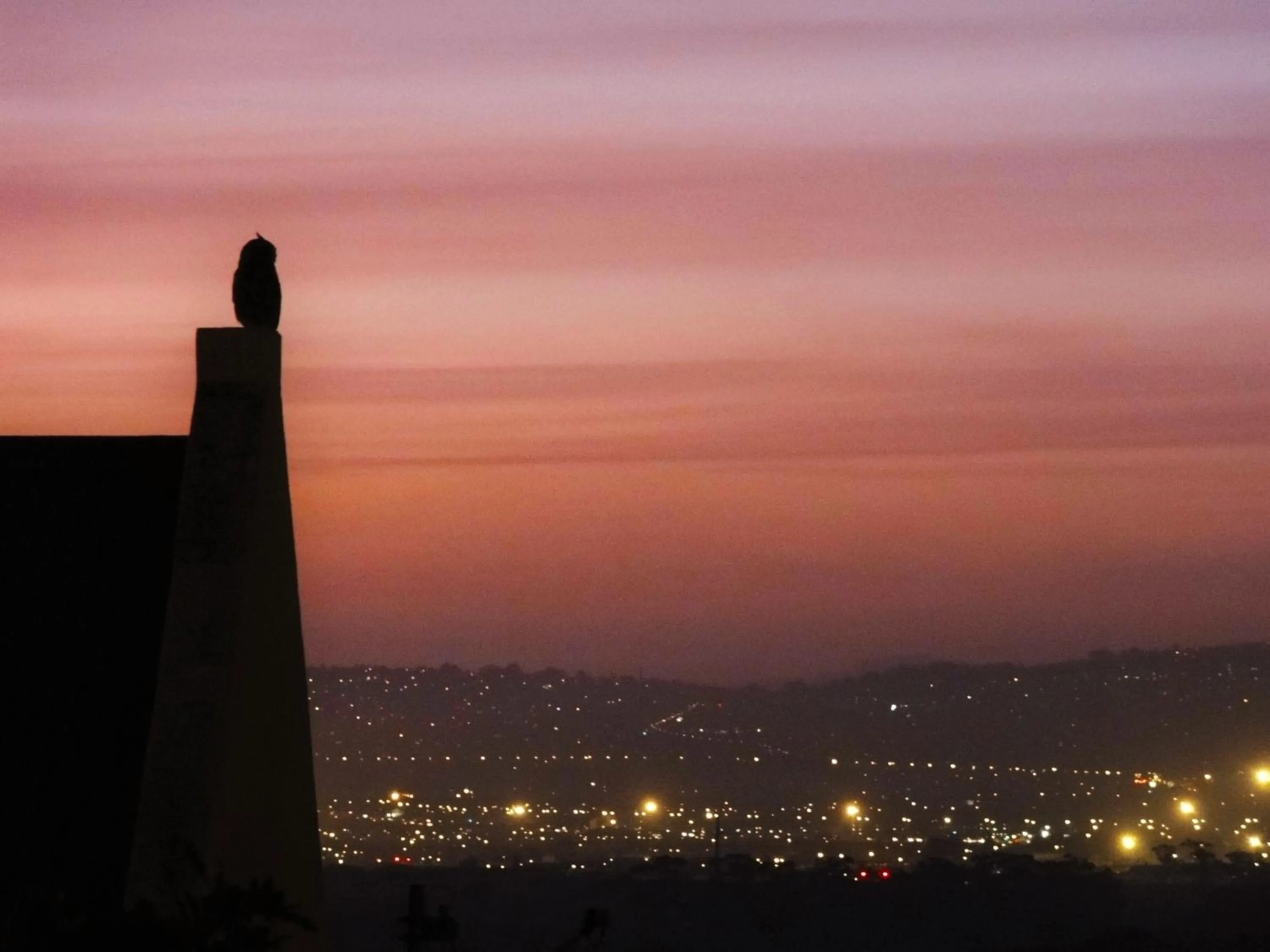 Animals in Helderberg Guesthouse