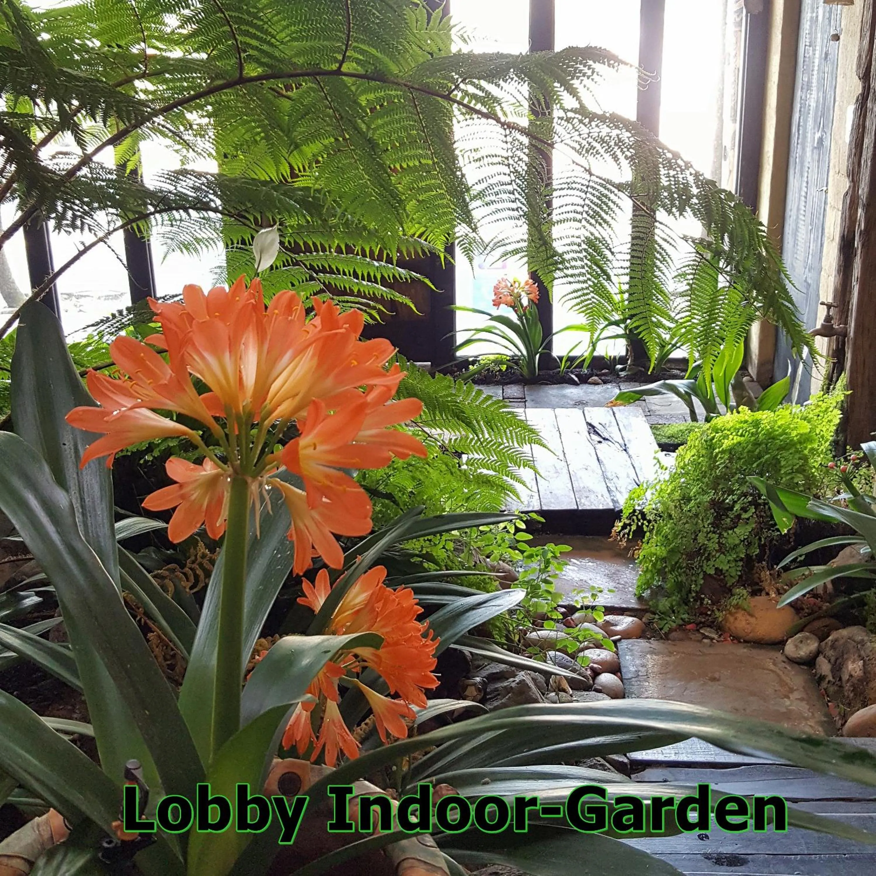 Garden in Hornbill House Self Catering Accommodation