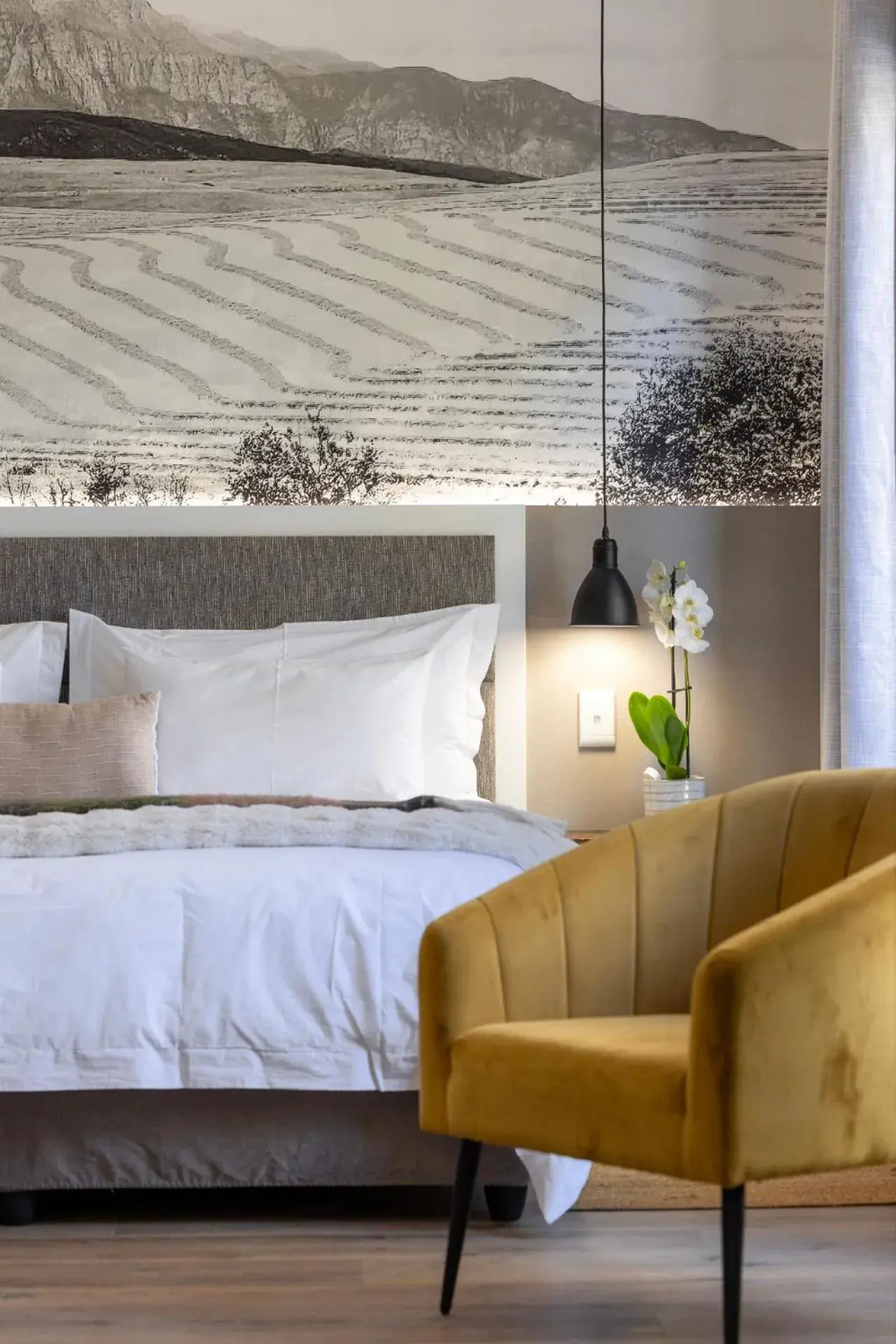 King Studio in Hornbill House Self Catering Accommodation King Studio in Hornbill House Self Catering Accommodation