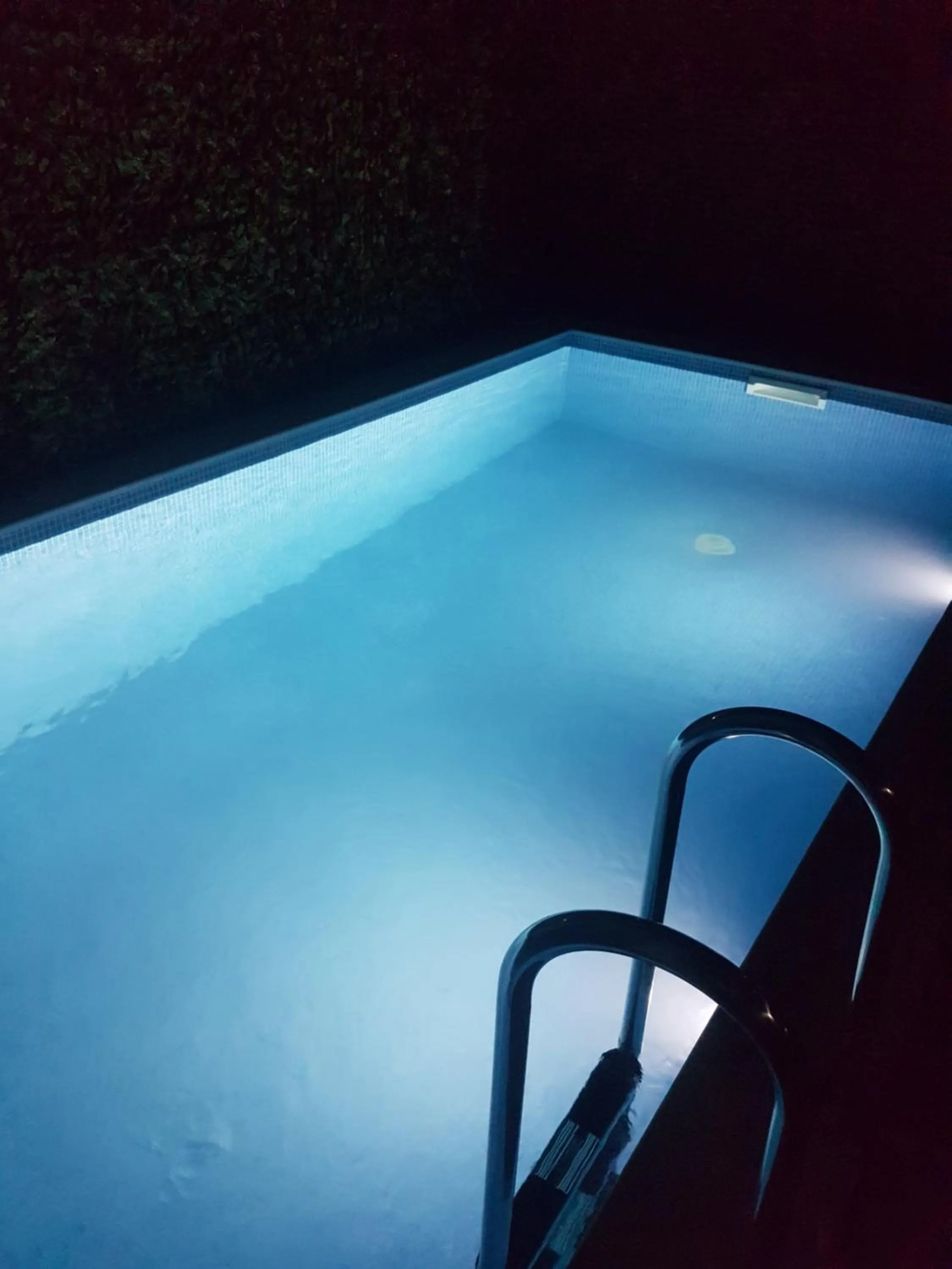 Swimming pool in Villa Vista Real