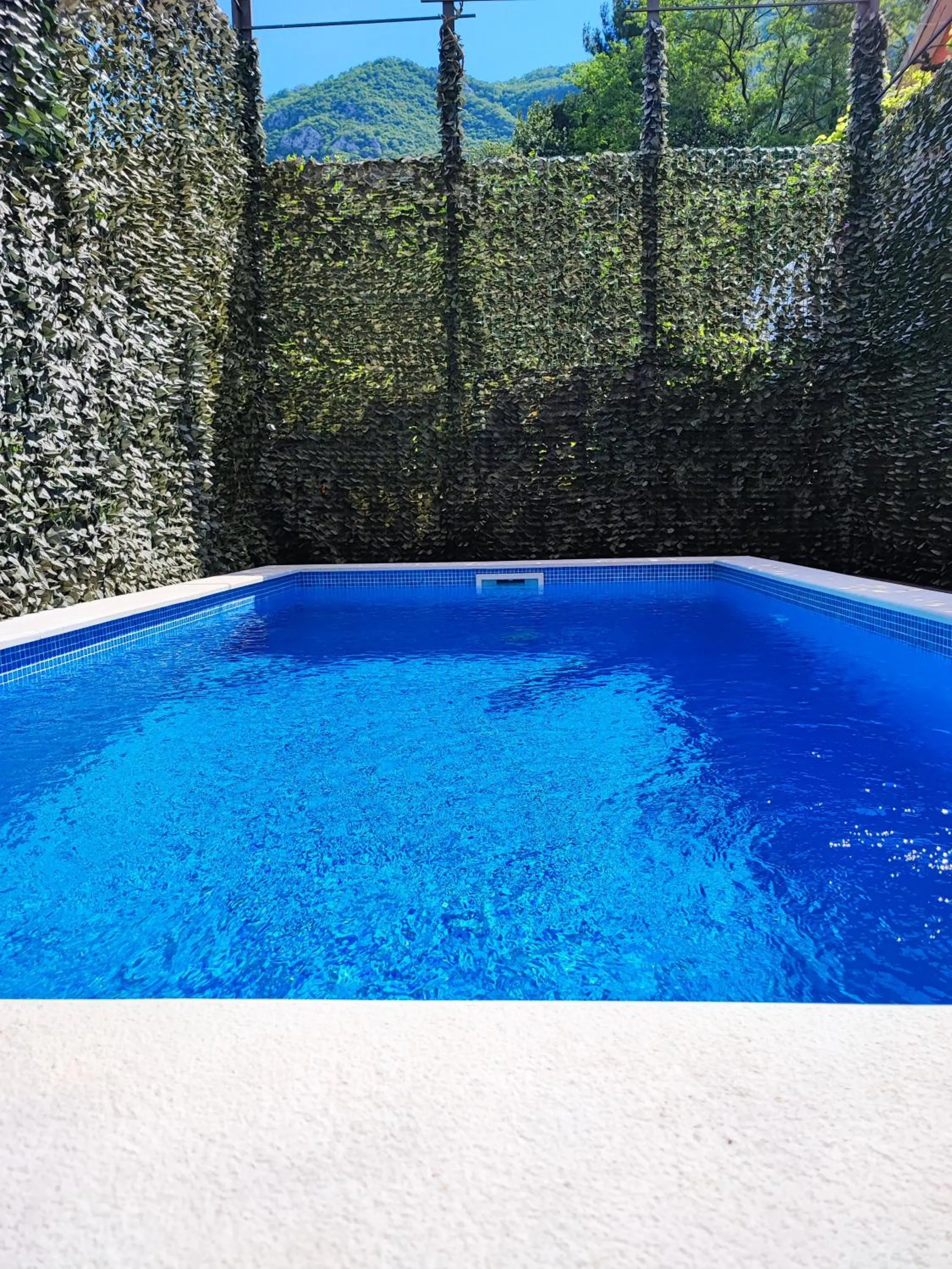 Swimming pool in Villa Vista Real