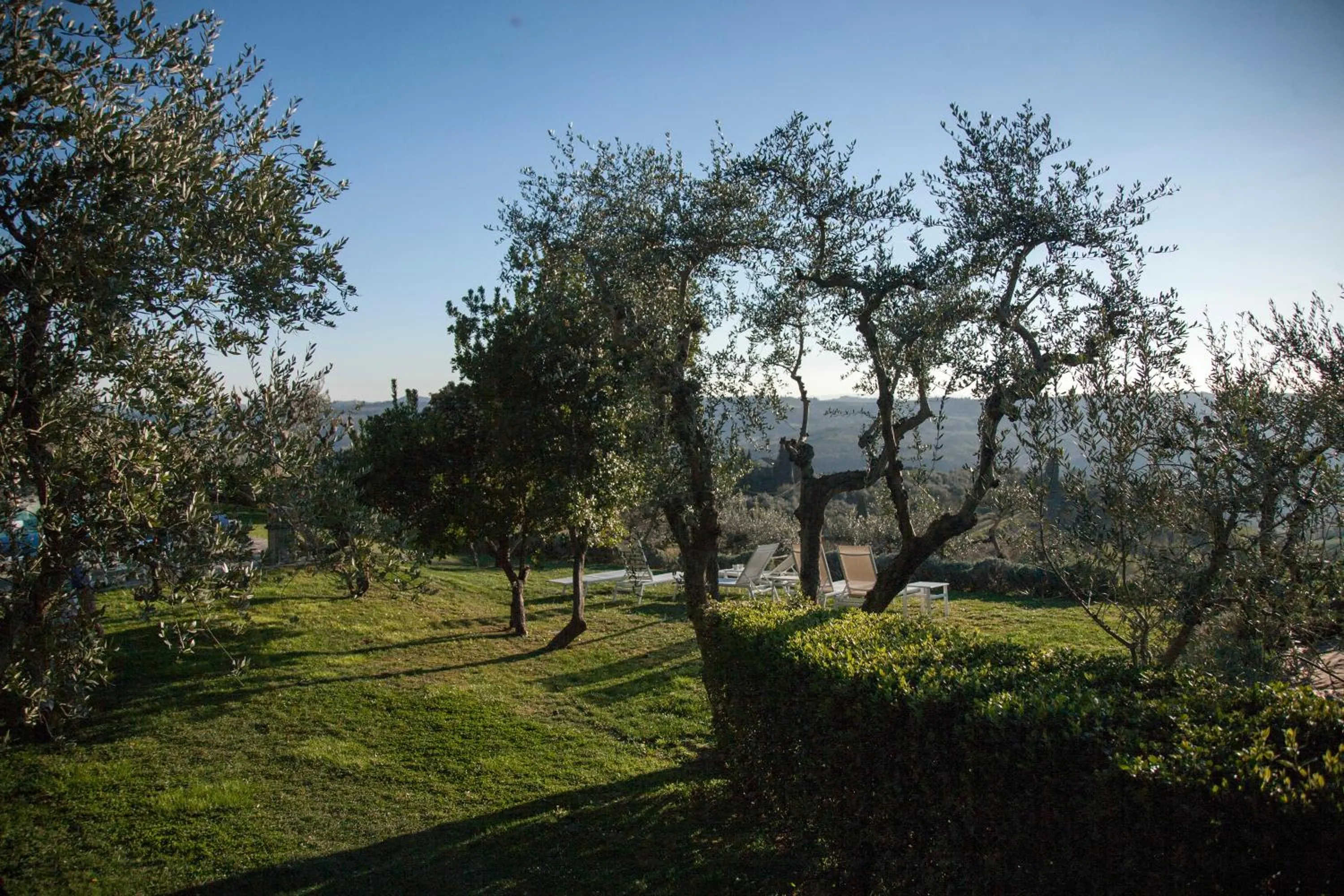 Garden in Villa I Barronci Resort & Spa