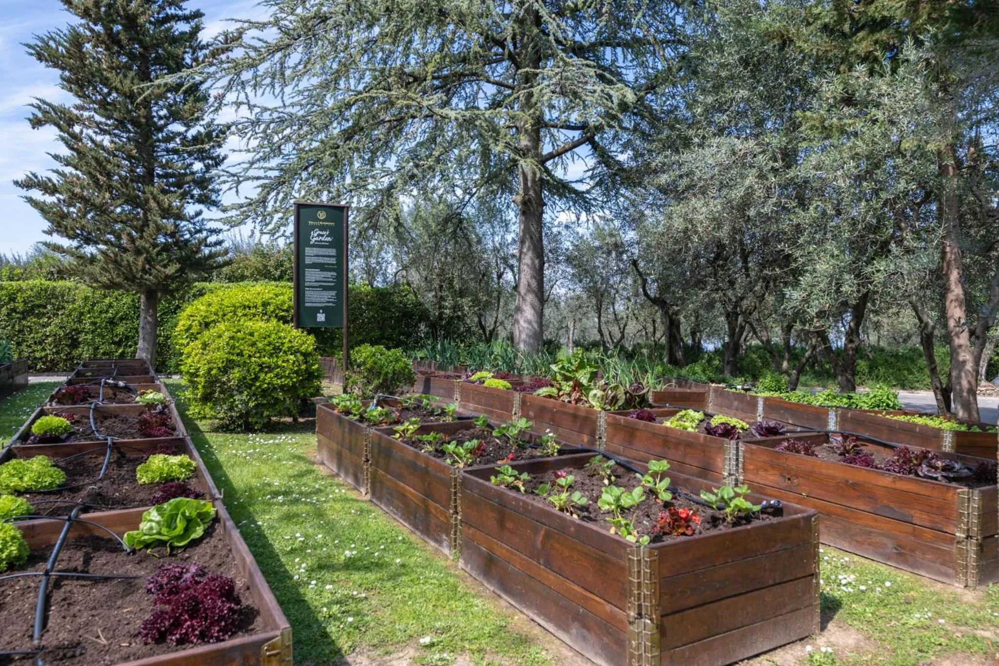 Restaurant/places to eat in Villa I Barronci Resort & Spa