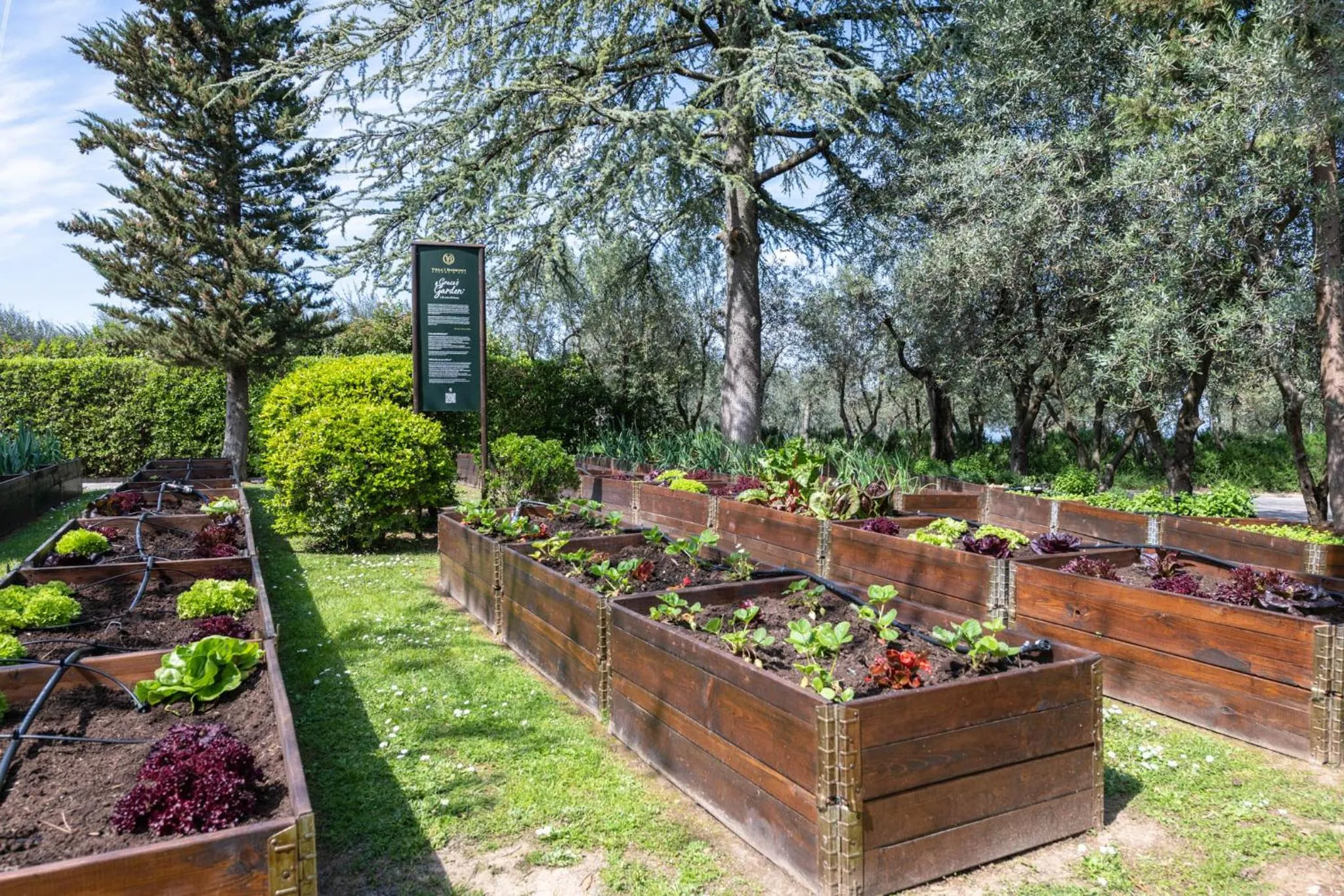 Restaurant/places to eat in Villa I Barronci Resort & Spa