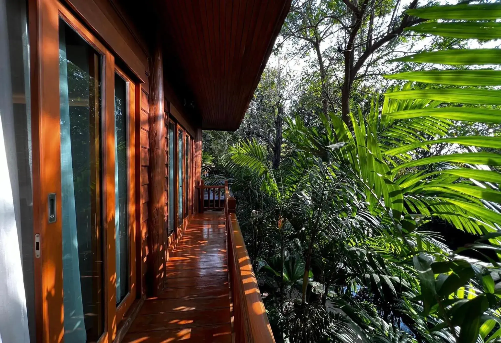 Garden view in Vanasin Residence Garden view in Vanasin Residence