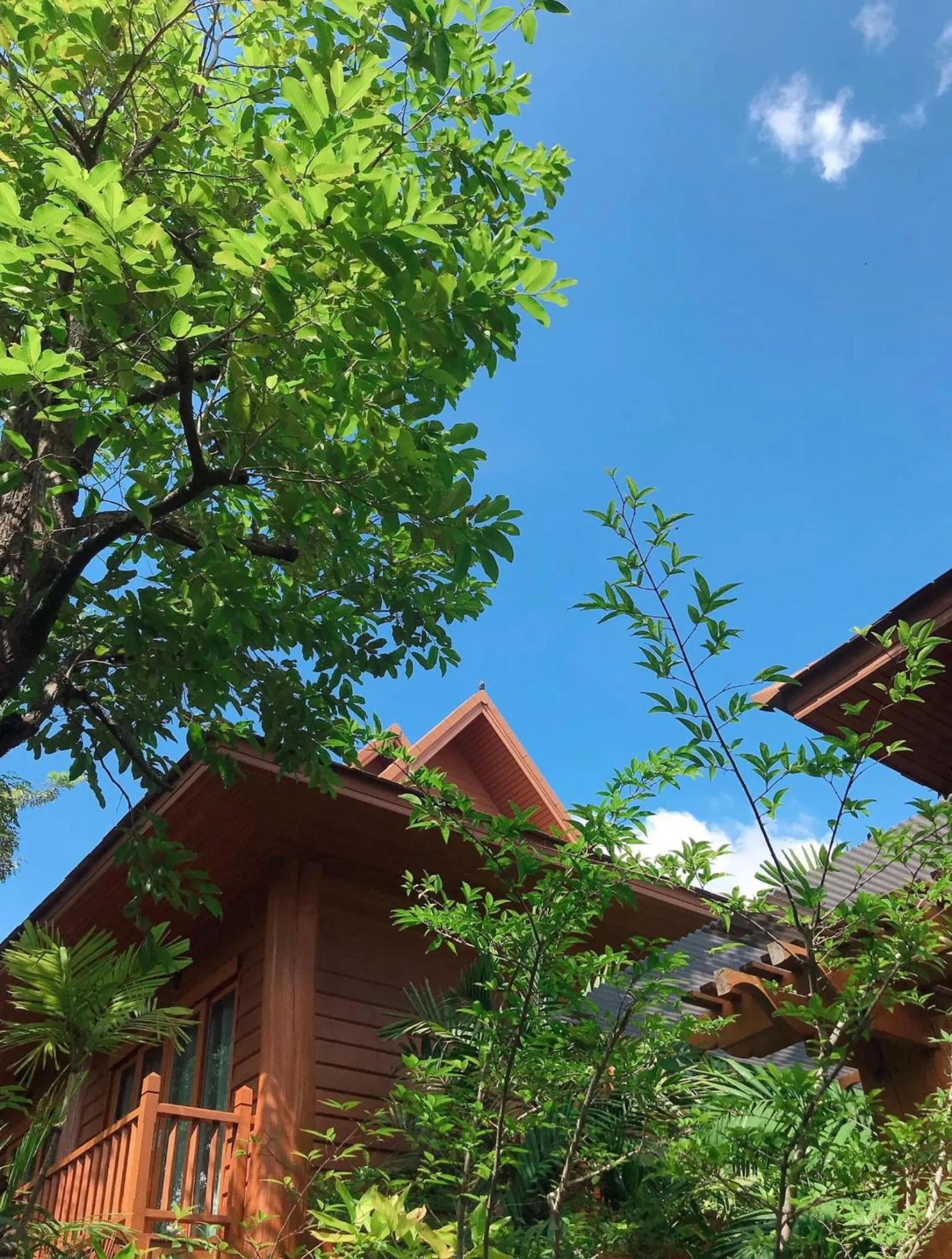 Natural landscape in Vanasin Residence