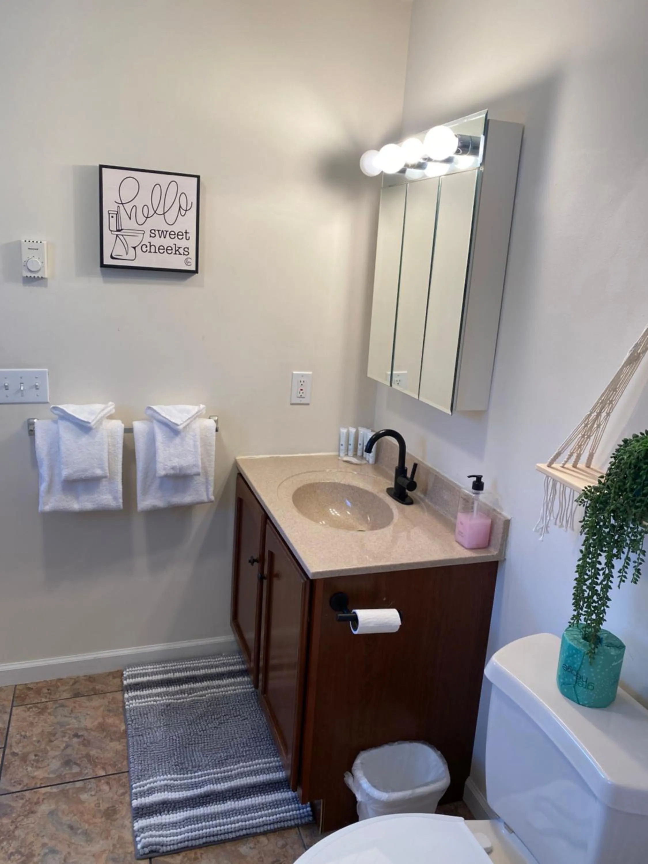 Amazing Mountain Views Lake Placid & 1980 Olympic Center