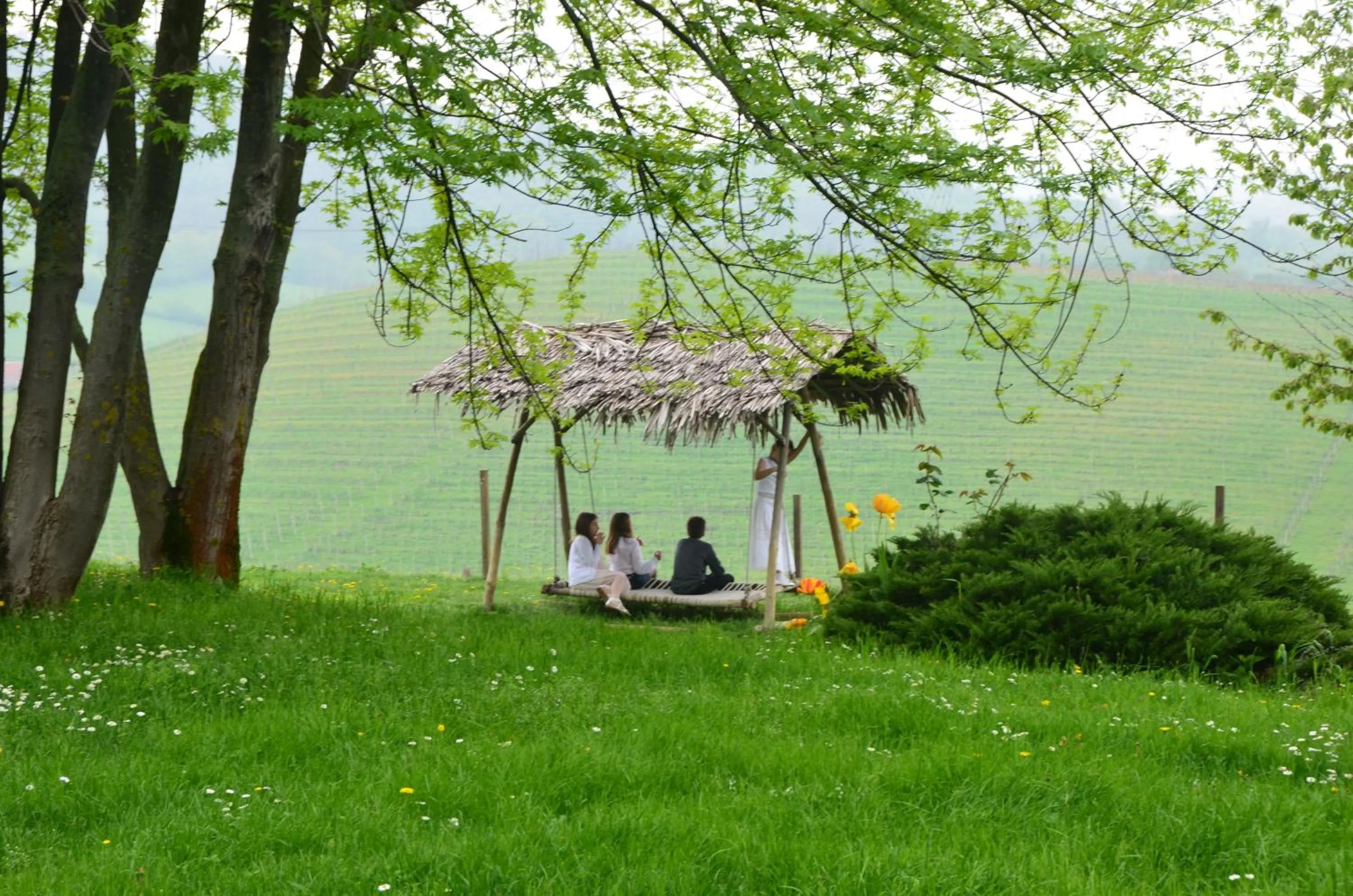 Garden in Albergo l'Ostelliere - Villa Sparina Resort